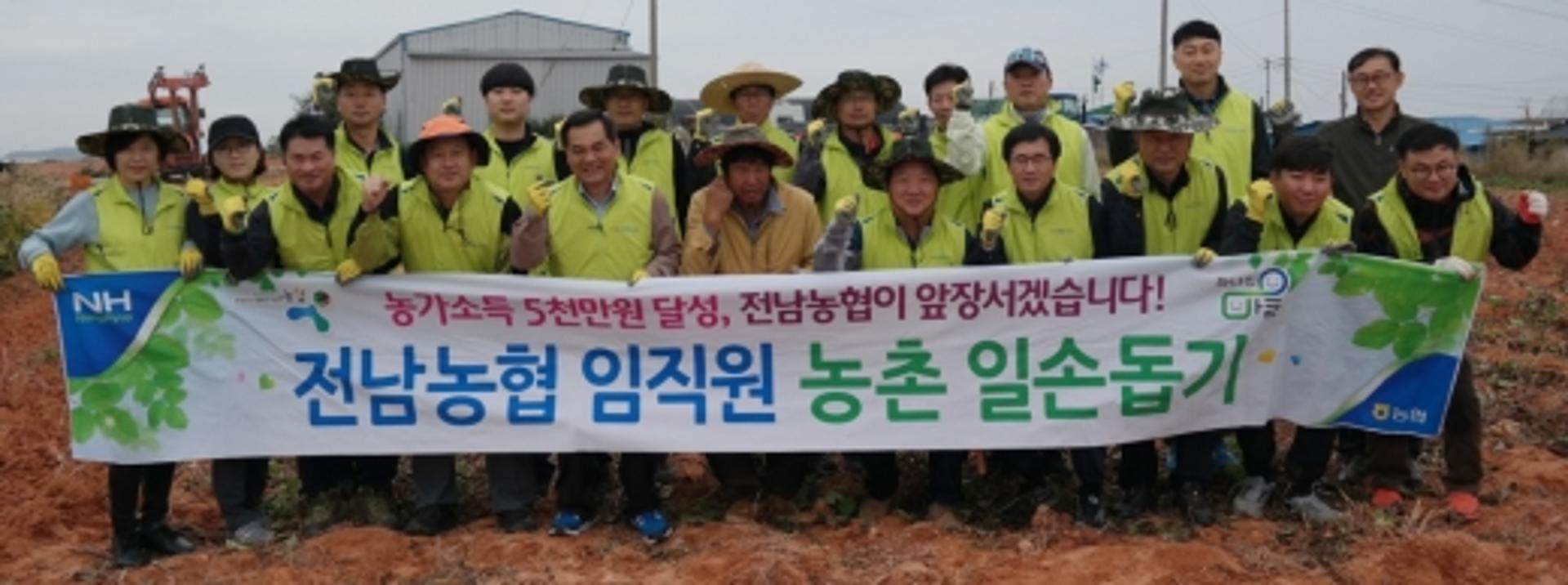 전남농협, 영암서 가을 수확철 농촌일손돕기