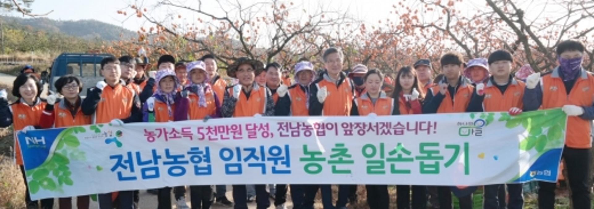 전남농협, 영암서 농촌 일손돕기 봉사횔동