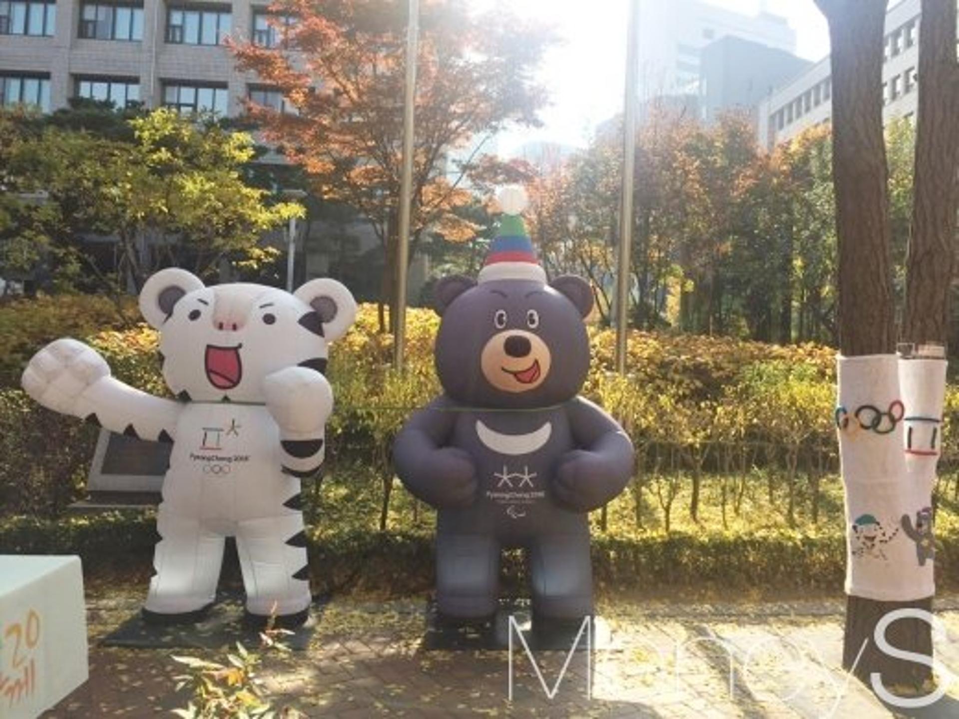 [한줌뉴스] D-70 평창올림픽, 뜨거운 관심이 필요해요