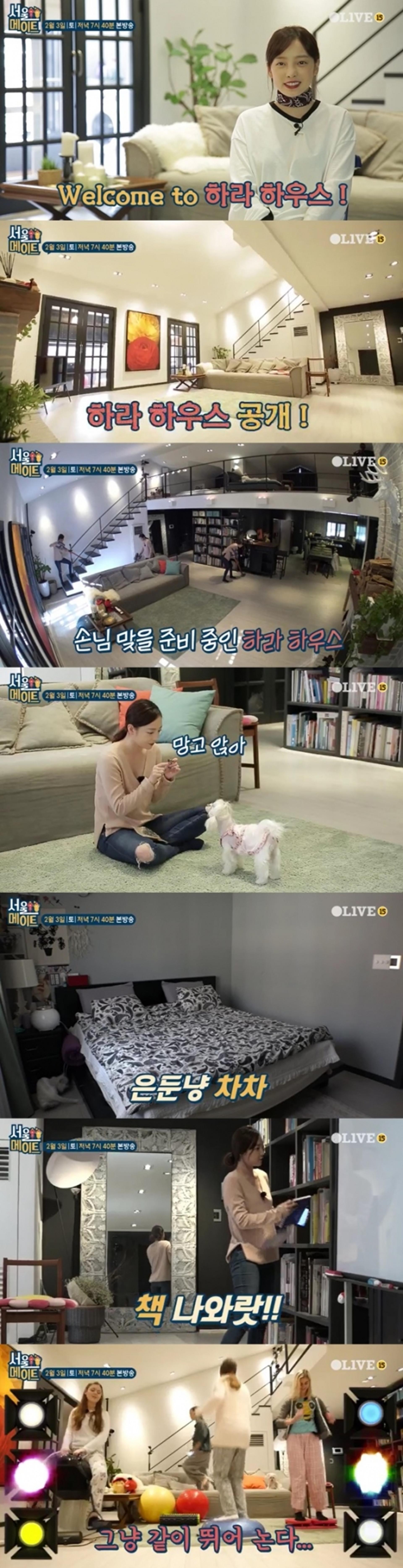 '서울메이트' 구하라 집, 논현동 위치… "복층+북유럽 인테리어"