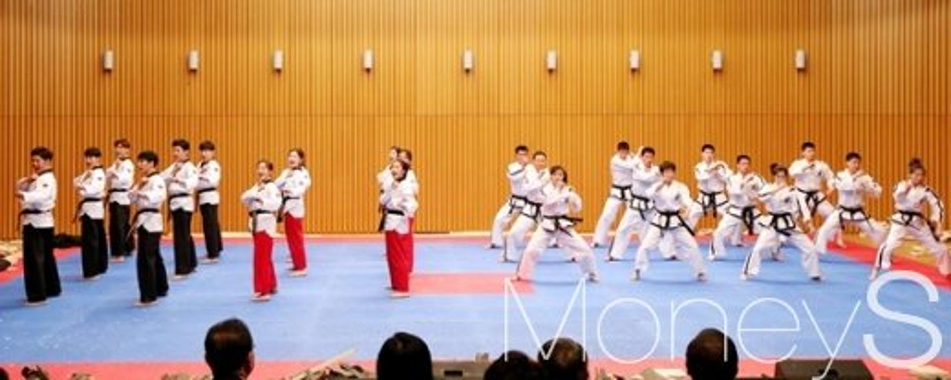 [머니S포토] 태권도로 하나된 남·북 시범단
