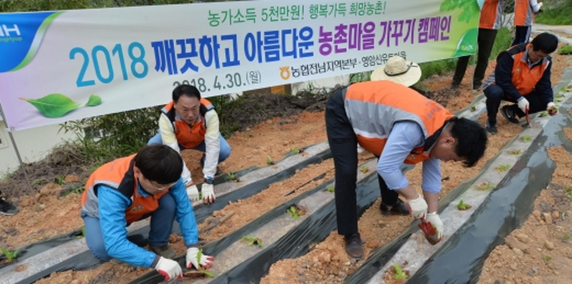 전남농협, 영암서 '깨끗하고 아름다운 농촌마을 가꾸기' 캠페인