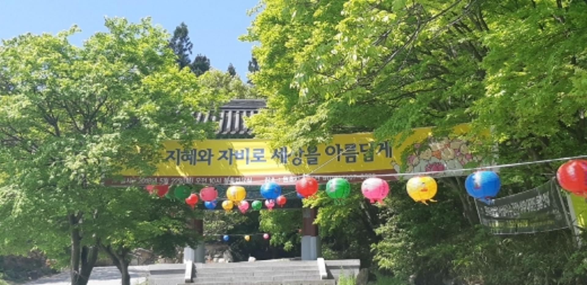 '온누리에 자비를'… '부처님오신날' 연등 내걸린 광주 원효사