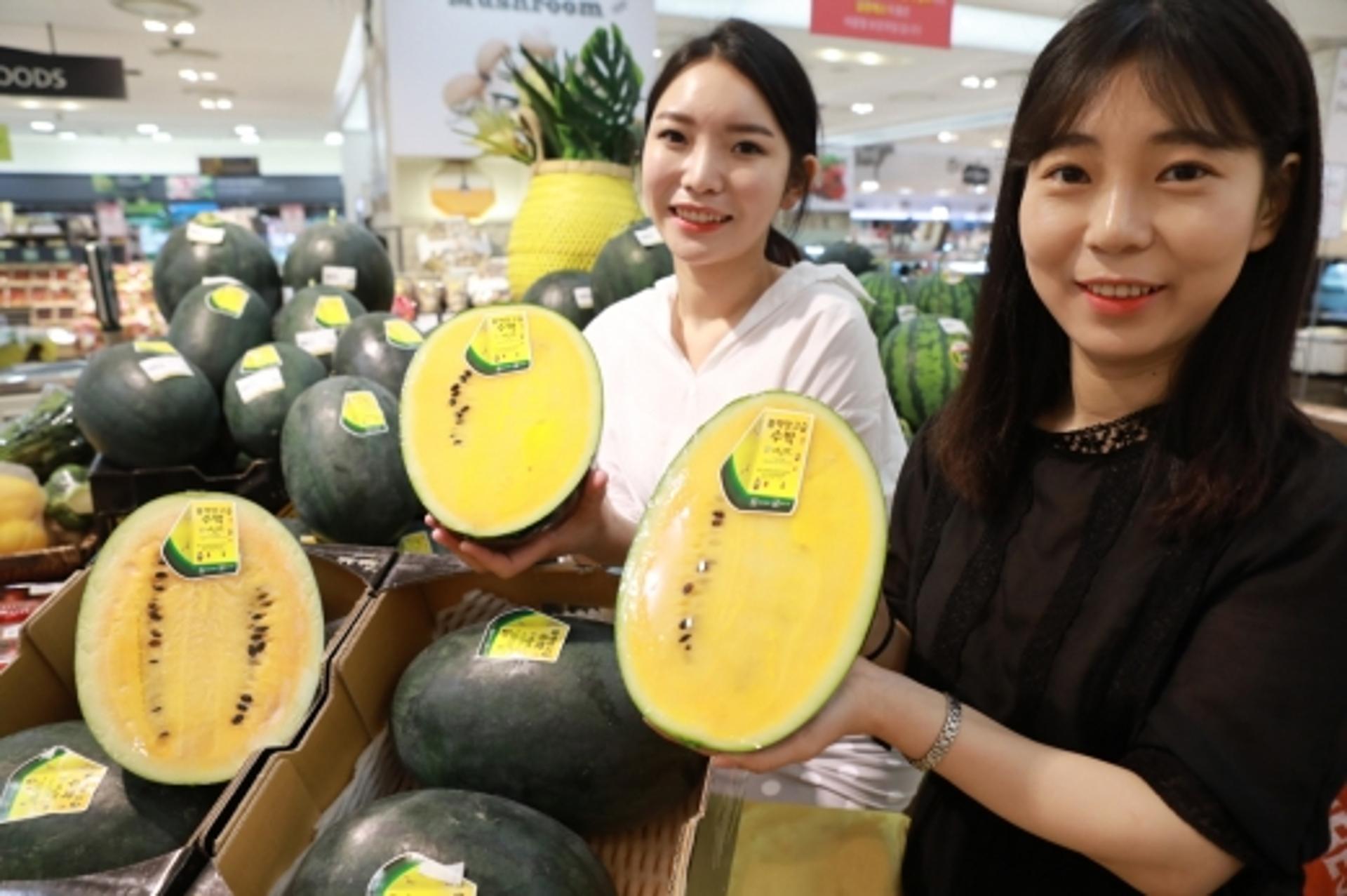 롯데백광주점 "속이 노란 블랙망고 수박 드세요"
