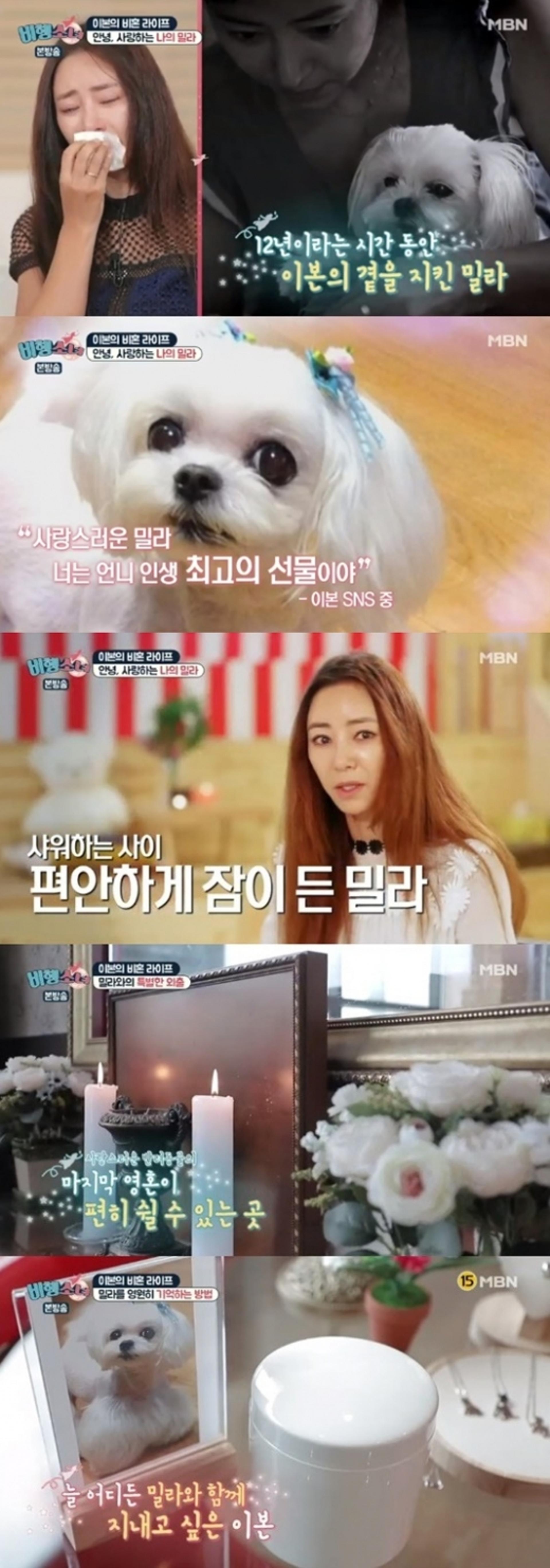 '비행소녀' 이본 오열, 12년 함께한 반려견 향한 그리움