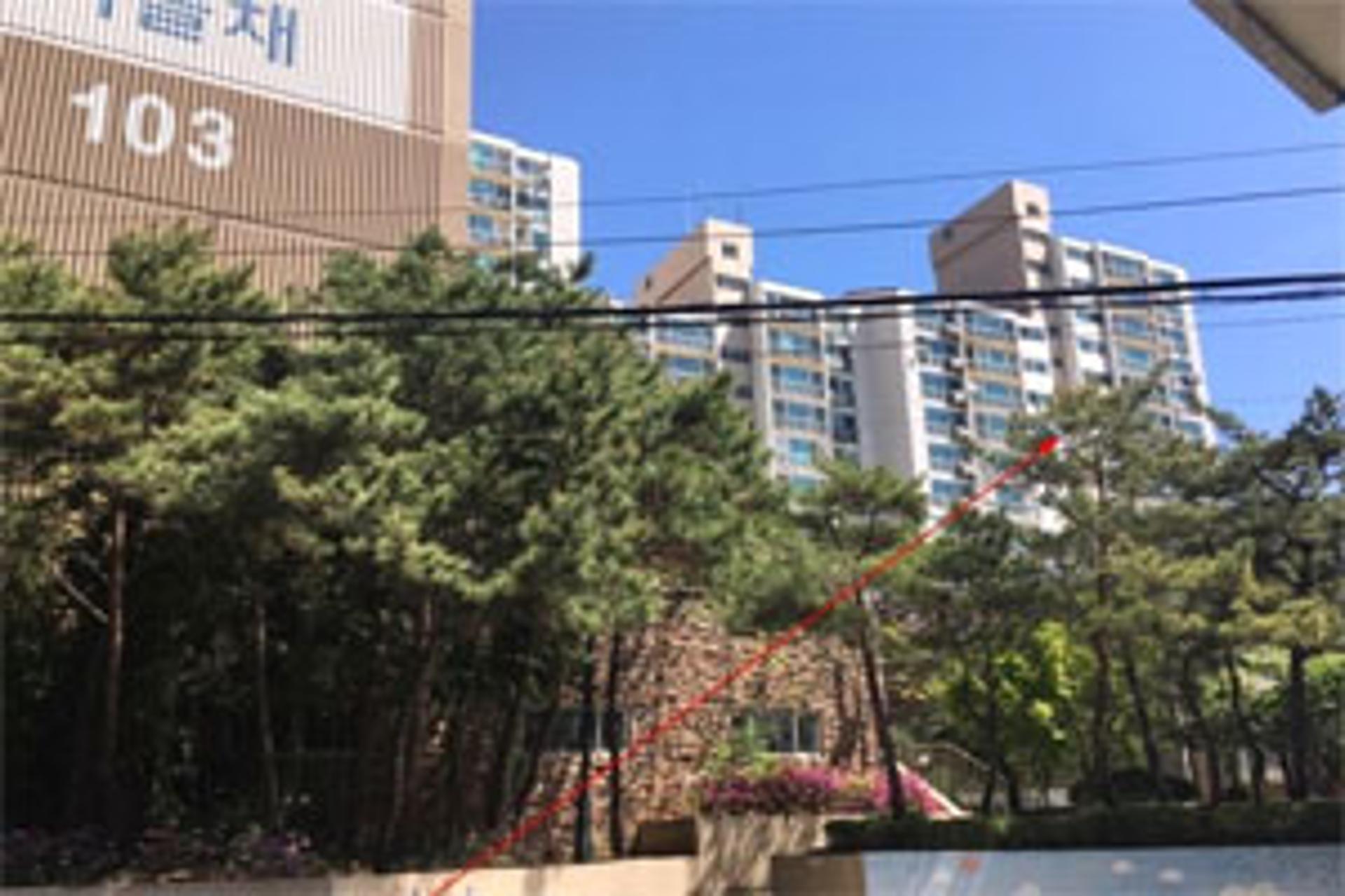 [주목! 경매물건] 일산동 134.9㎡, 2.8억에 시작