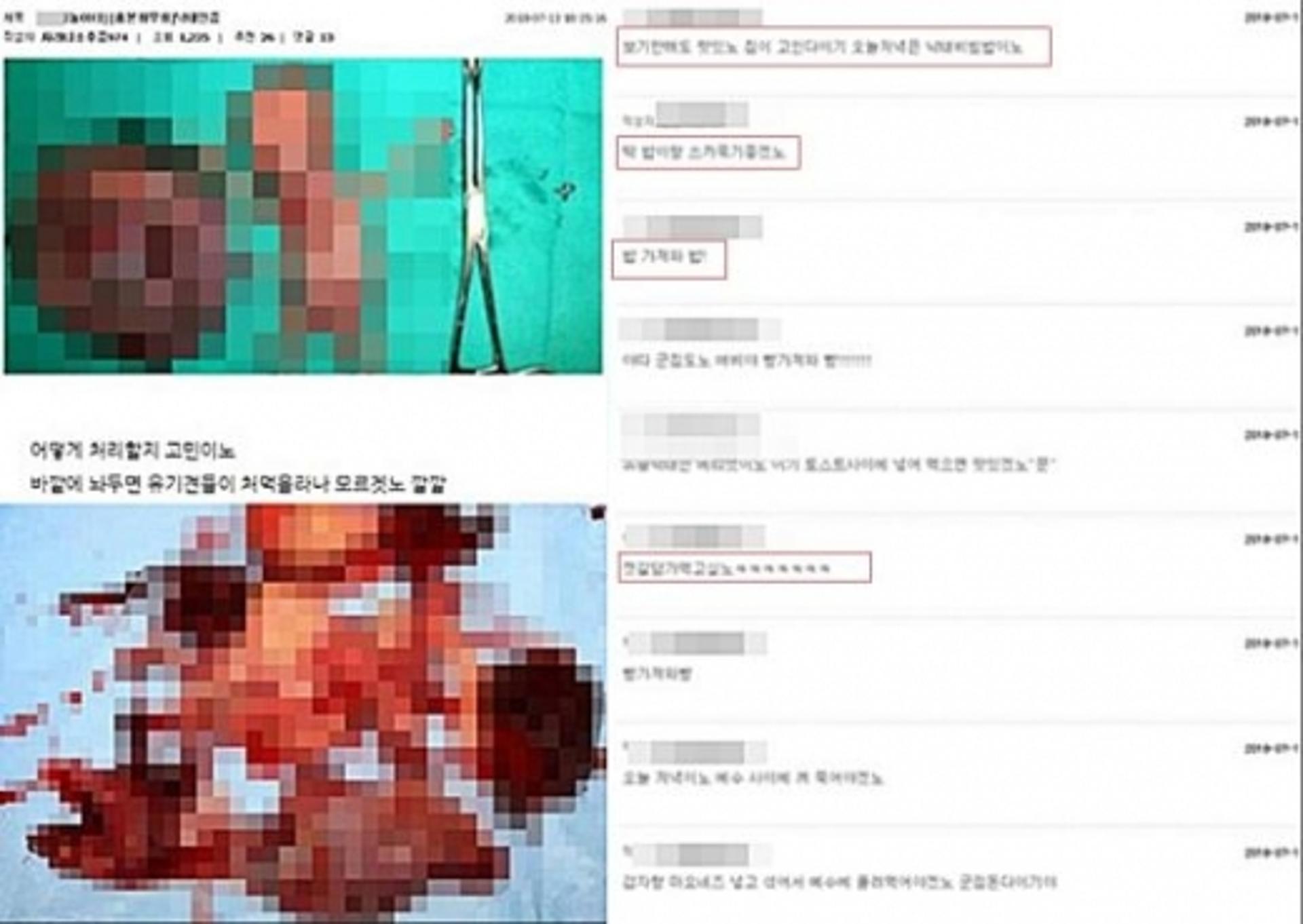워마드, 태아 낙태훼손 인증 논란… 그보다 충격적인 '반응'