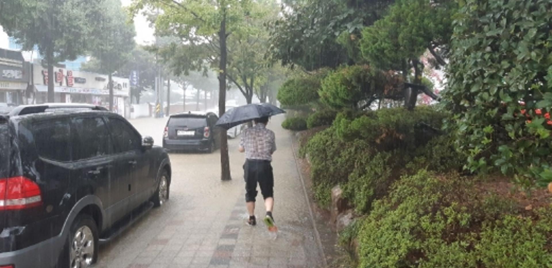'폭우' 쏟아지는 광주, 도로 곳곳 침수… 최고 80㎜ 더 내린다