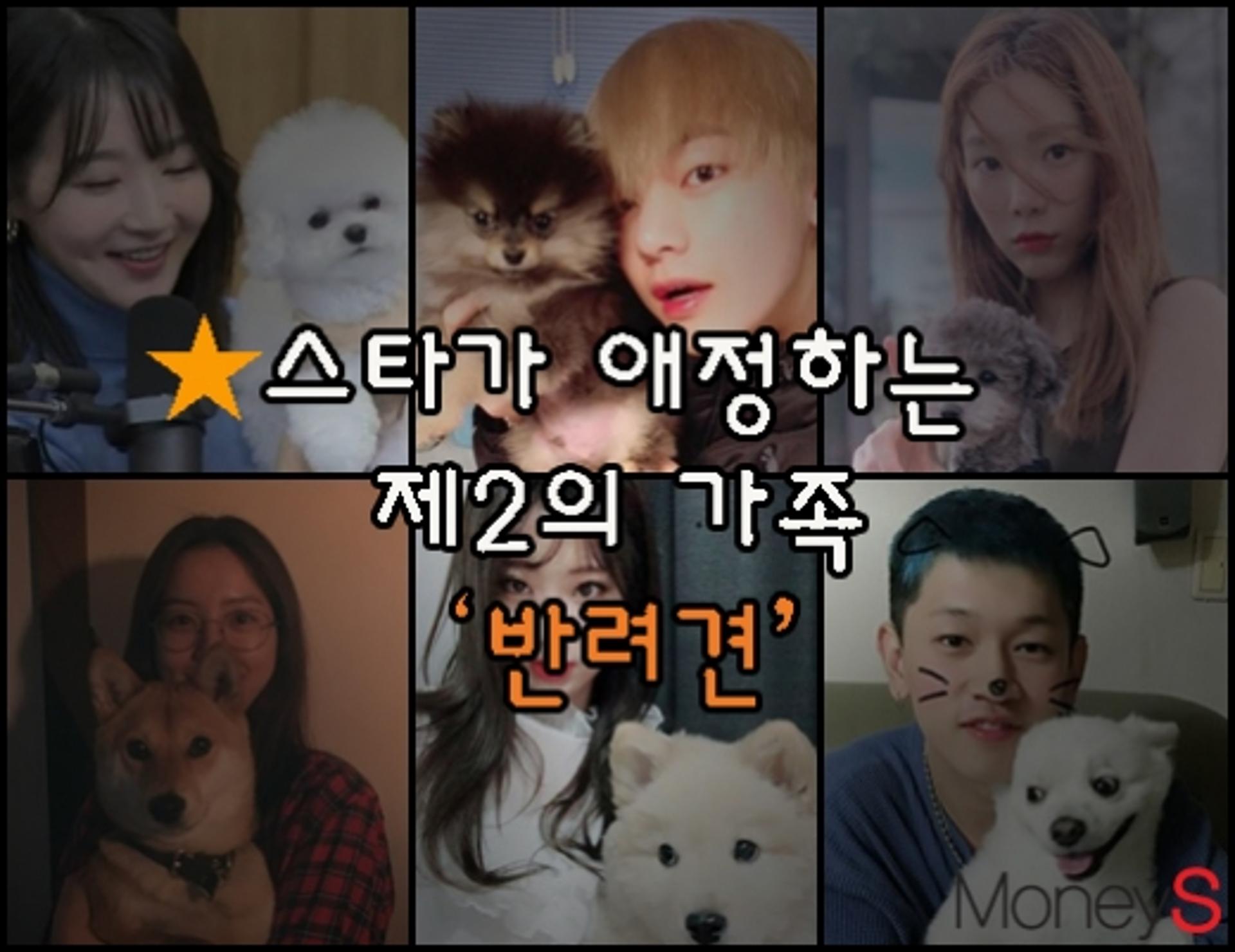 [김유림의 연예담] “나만 댕댕이 없어”… 연예인 반려견 꿀조합