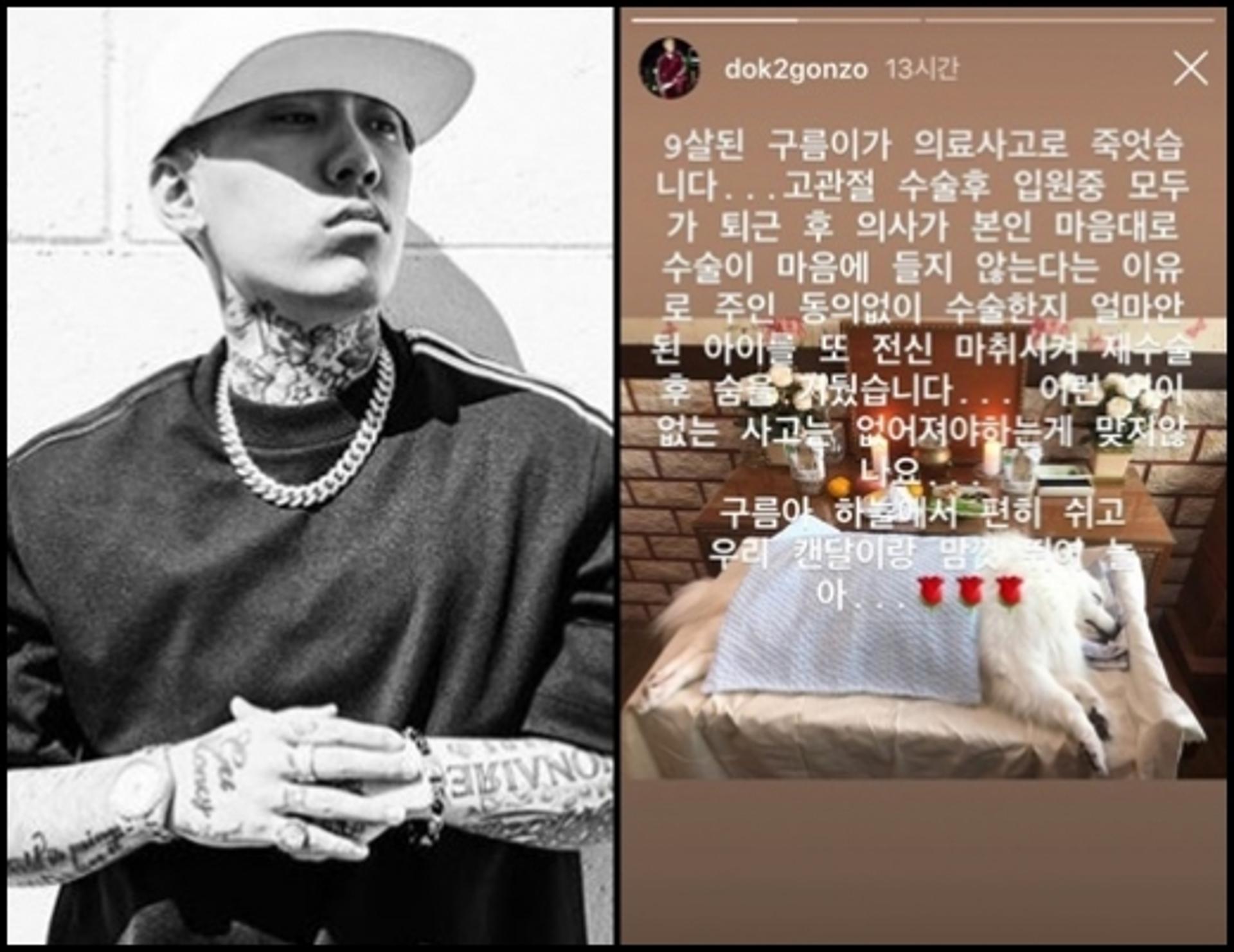 "의사 마음대로 재수술"… 도끼 폭로, 반려견 의료사고 사망에 '분노'