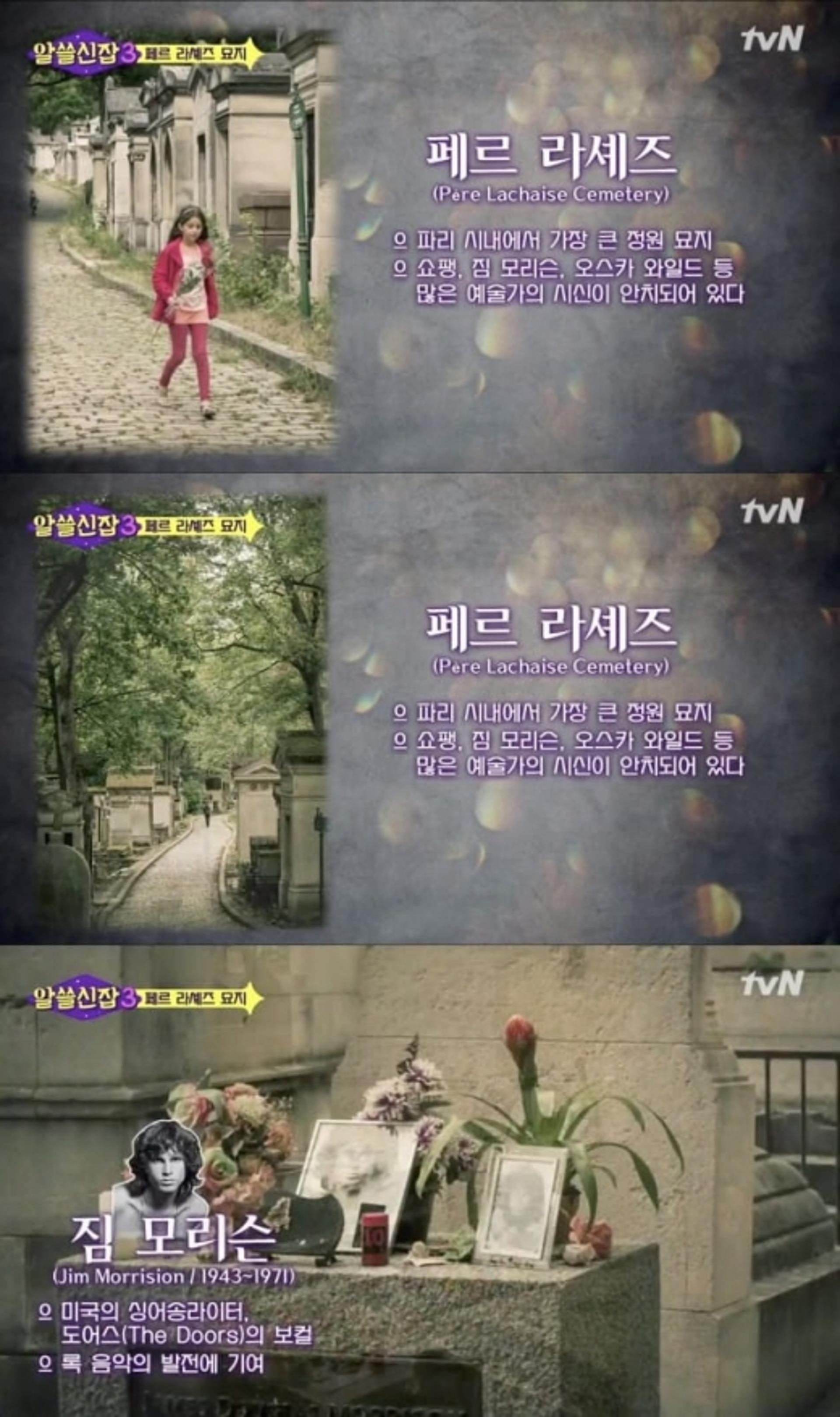 '알쓸신잡3' 측 "전영광 작가 사진 도용 죄송… 저작권 협의할 것"