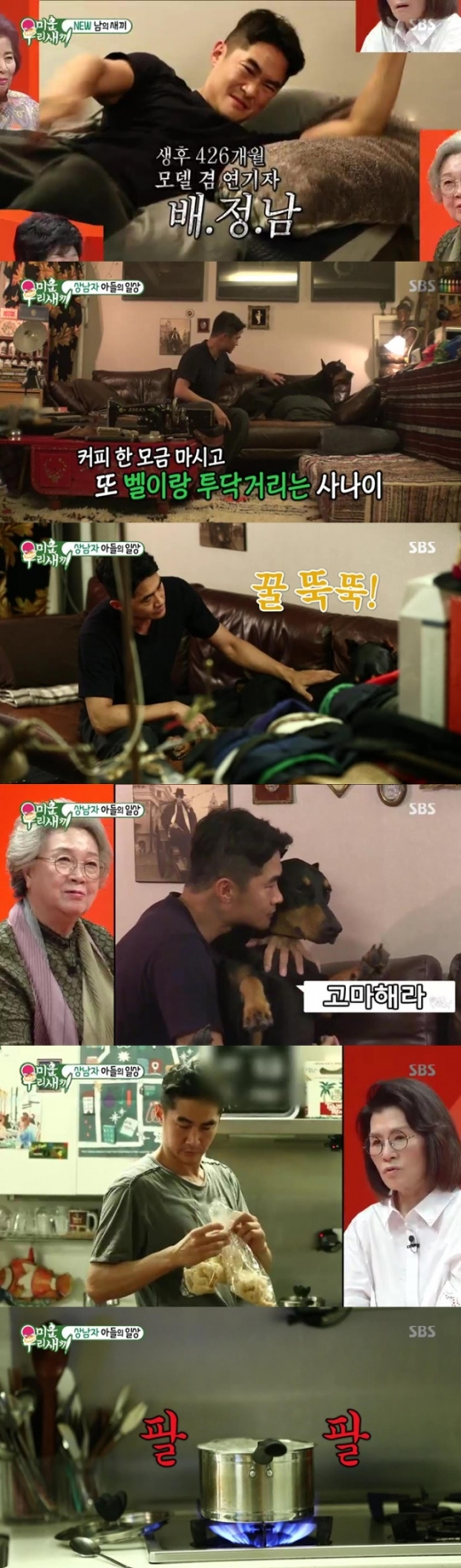 '미우새' 배정남 일상 공개, 개바보 상남자의 '반전매력'