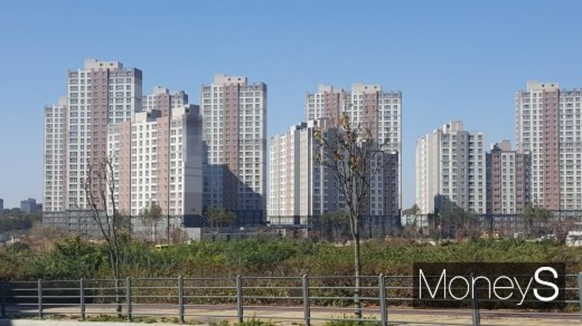 올해도 경계 없이 훈풍 부는 '접경지역'