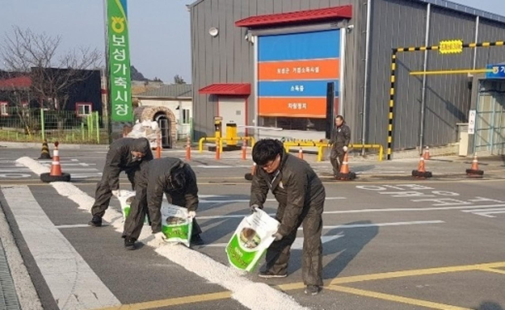 '구제역 여파' 중단, 전남 가축시장 내일(22일) 재개장