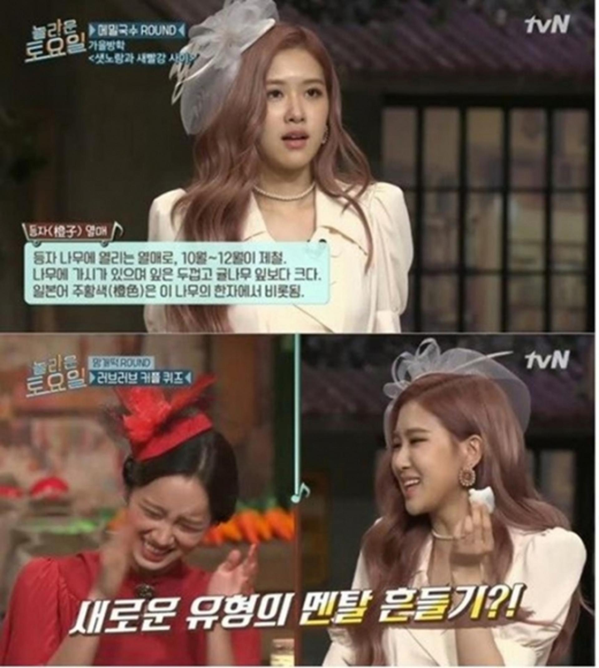 '등자열매' SNS에서 난리난 이유가?