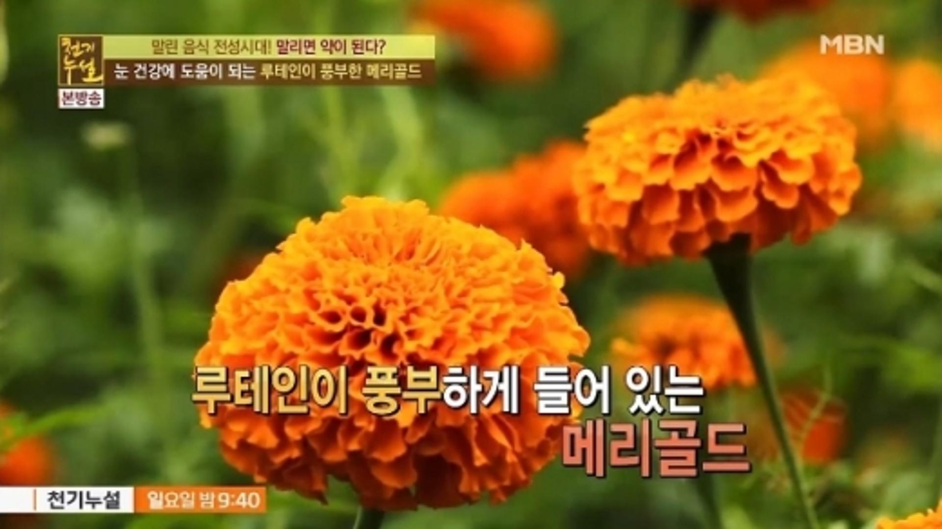 메리골드 효능, 루테인이 가득… 어떻게 먹어야 할까?