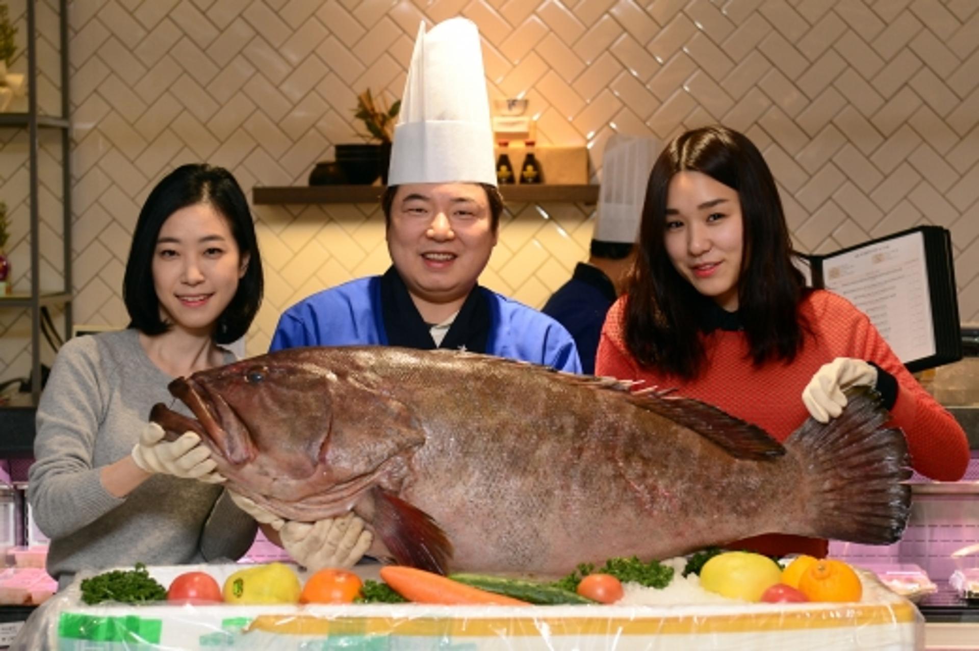 다금바리 먹어볼까… 어획량 5년새 10배↑, 가격은?