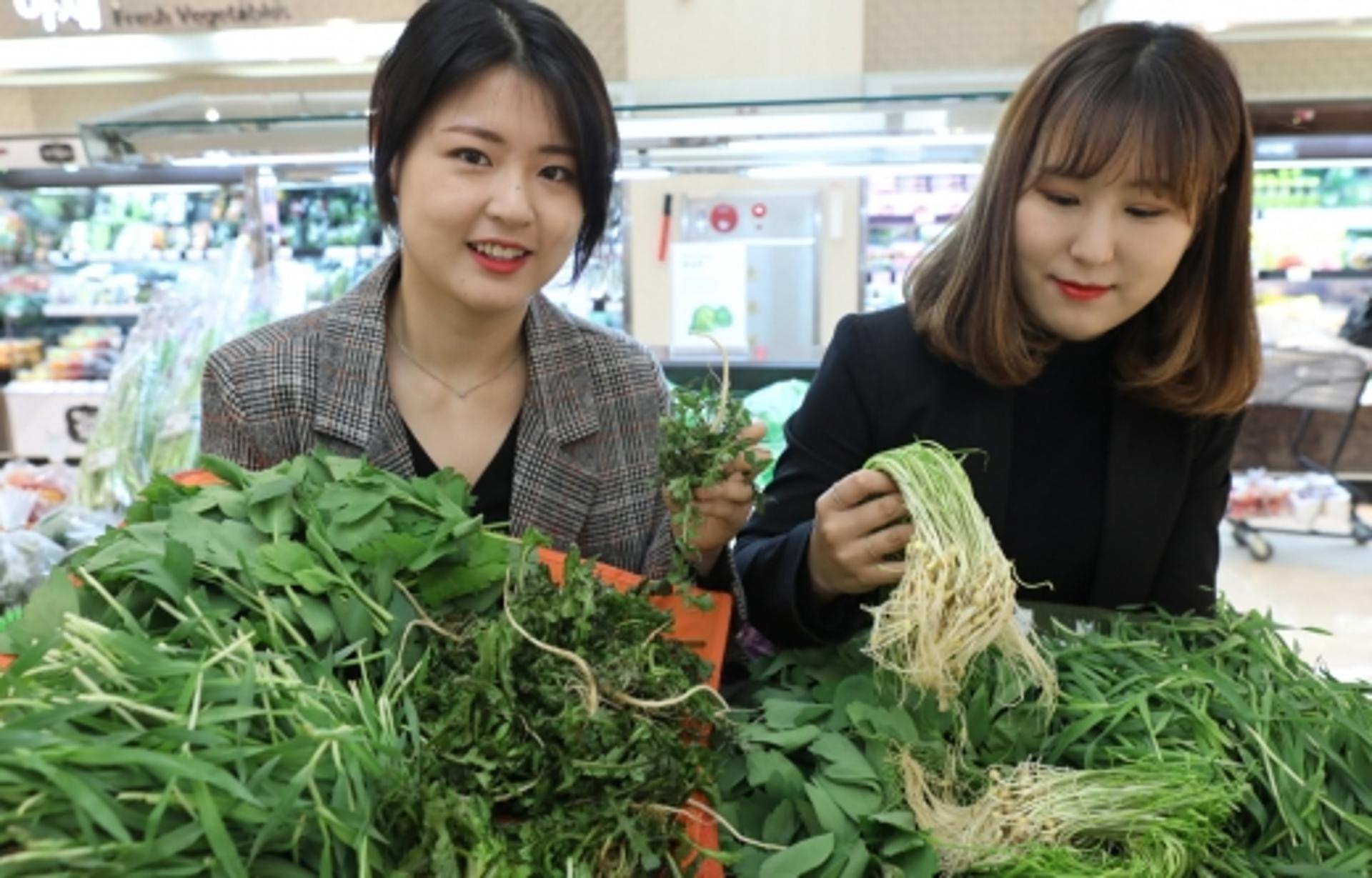 롯데백광주점 "봄나물 먹고 '춘곤증' 물리치세요"