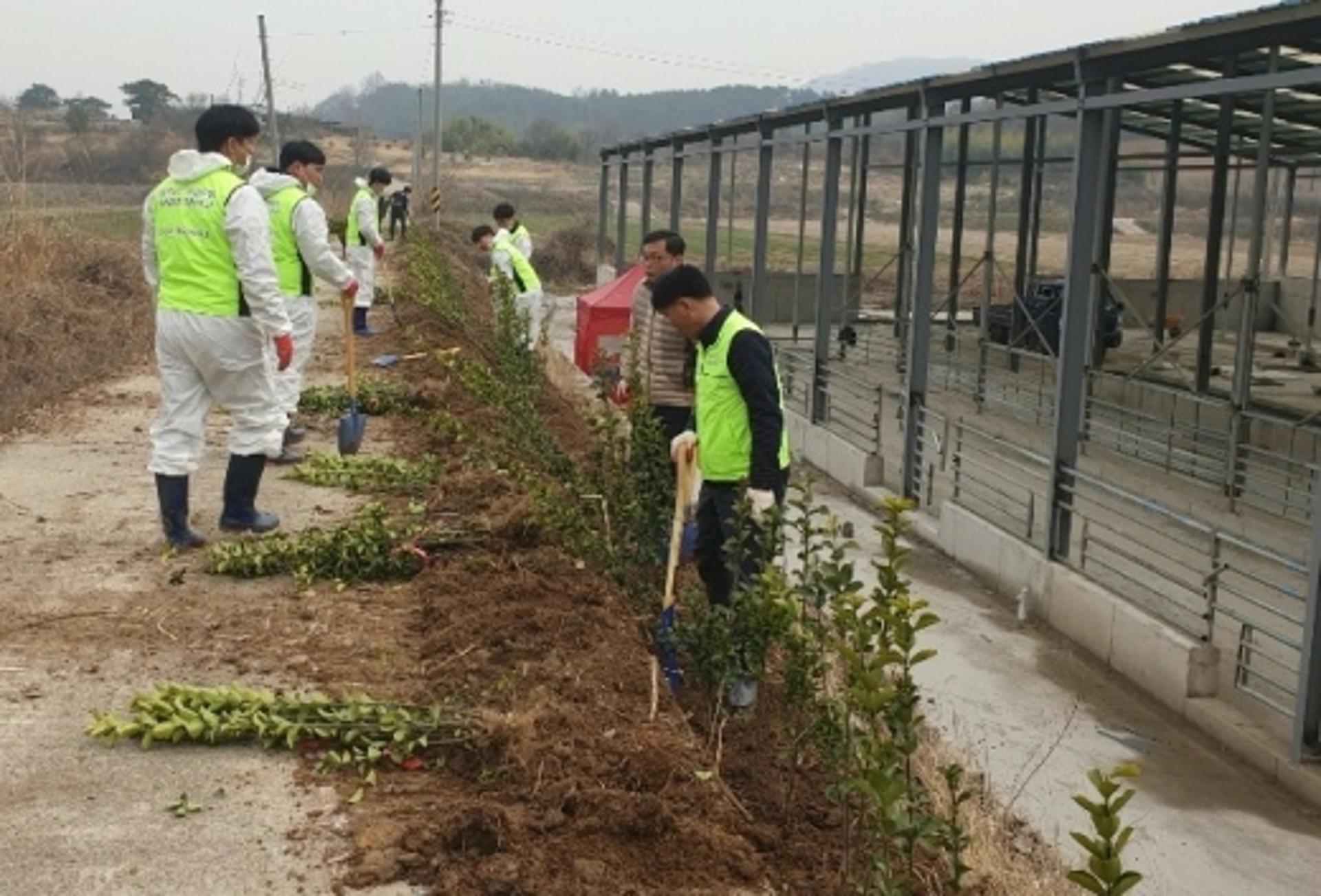전남농협, 장성 한우 농가서 '축산 환경 개선의 날' 행사