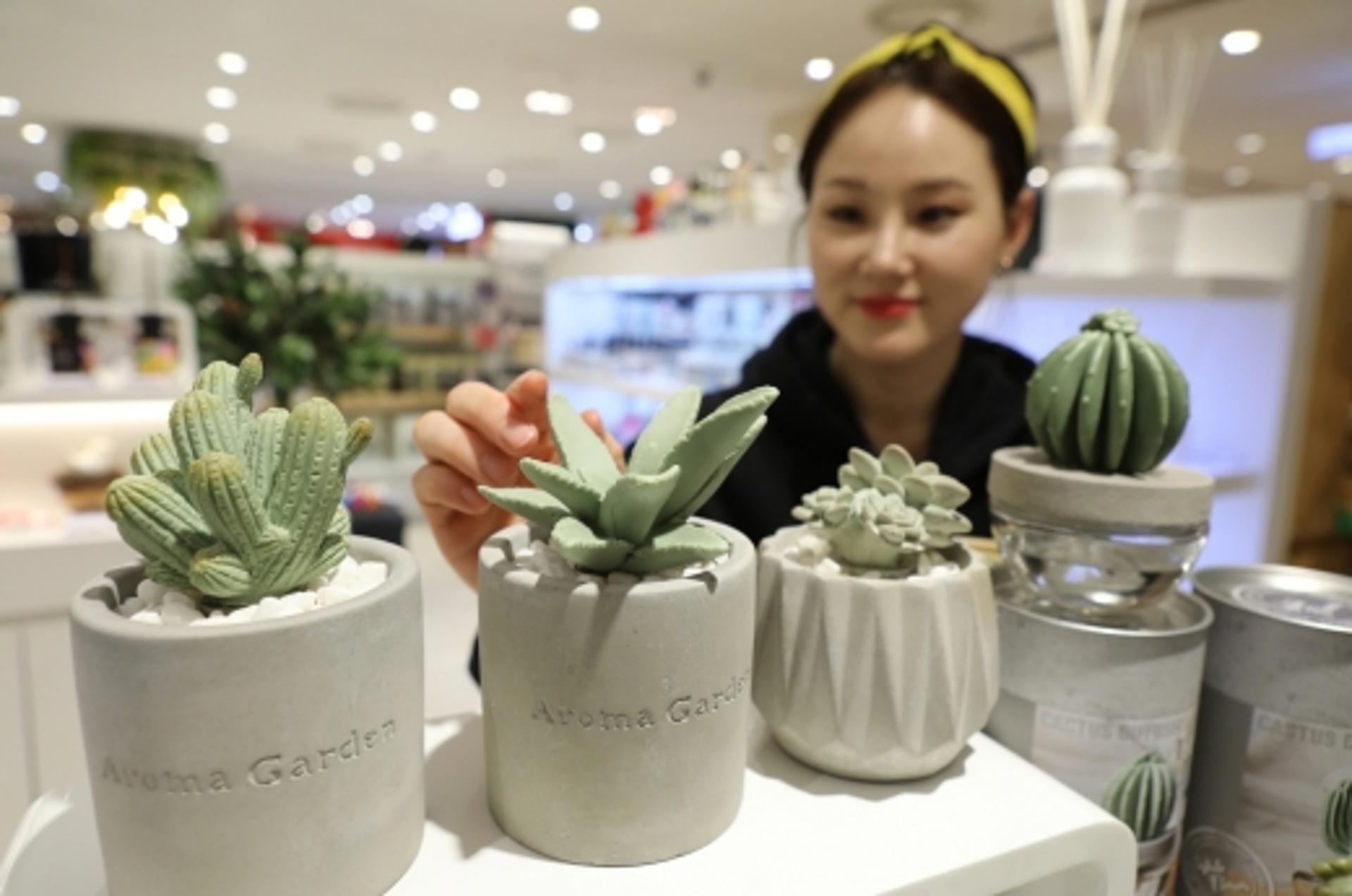 롯데백광주점, 향기 나는 선인장 '디퓨저' 선보여