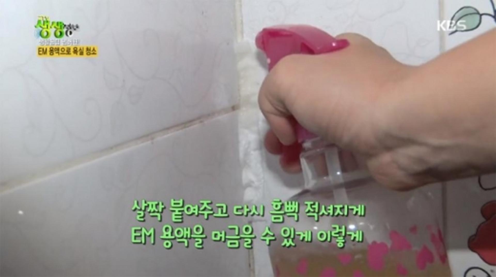 EM용액·원액, 욕실 곰팡이 제거에 탁월?