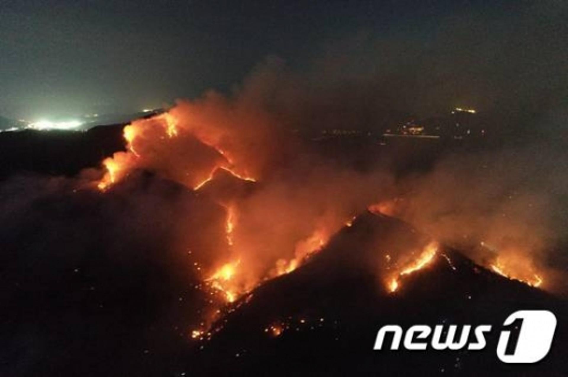 부산 해운대 산불… 밤새 확산돼 "피해면적 13ha 이상"