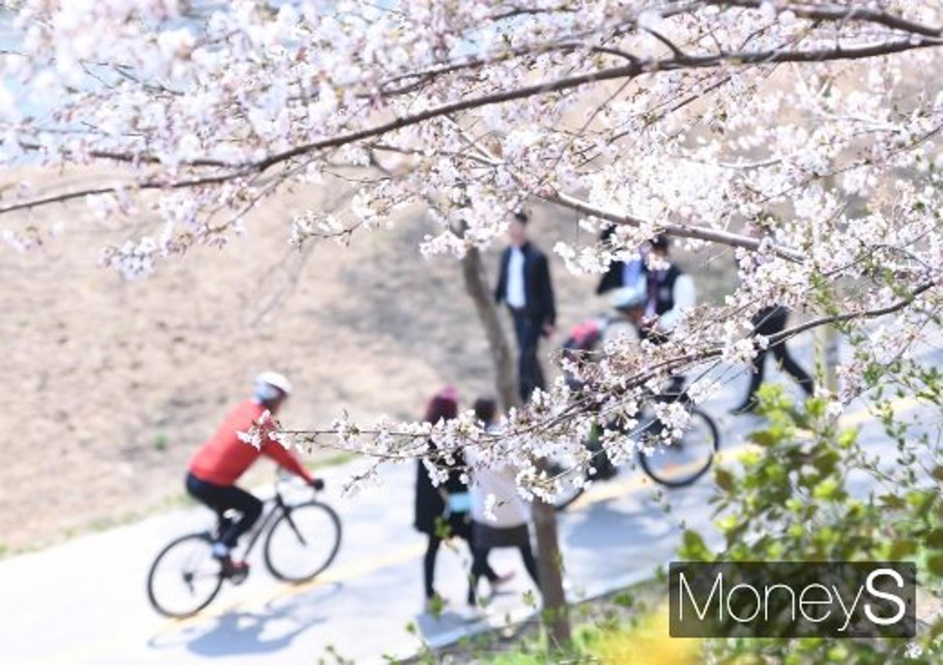 [머니in픽처] 달리자~ 봄바람 꽃길
