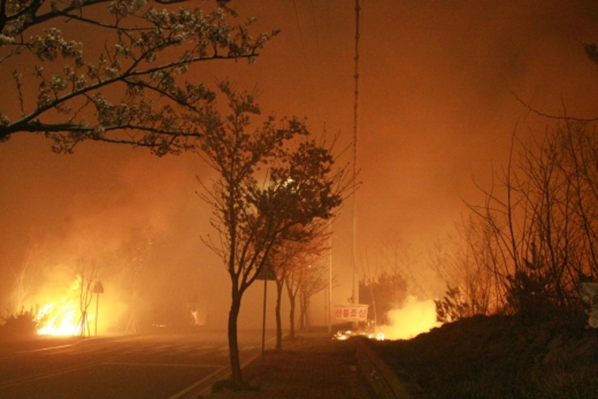 고성·속초 산불에 소방차 872대 동원·헬기 51대 투입