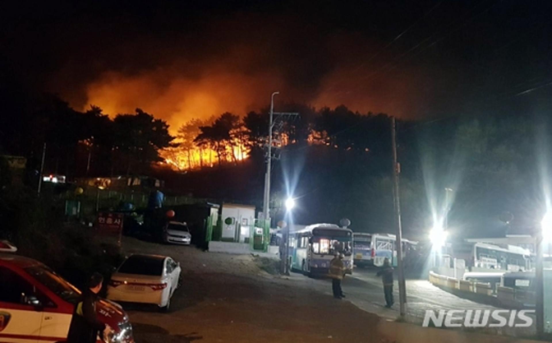 부산 해운대 운봉산 산불 '재발화'… 벌써 세번째 '기장군서도?'