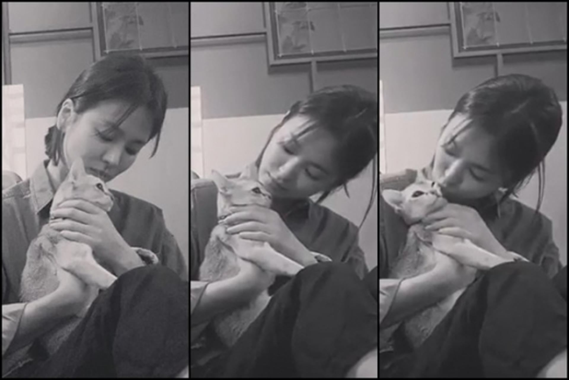 송혜교 근황, "일상이 화보네"