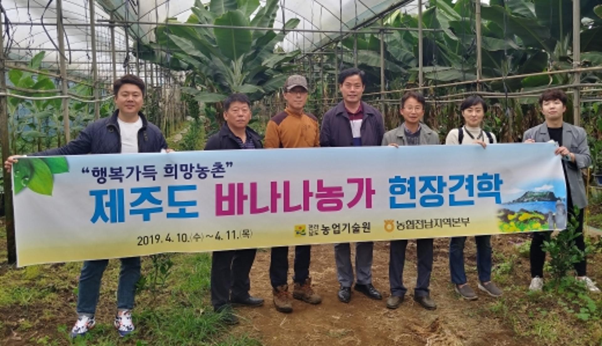 전남농협, 신소득작목 '바나나' 육성 검토
