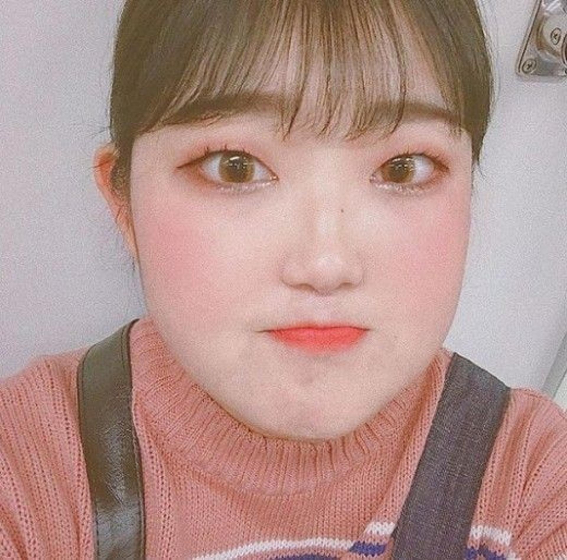 '루푸스병' 최준희 근황 공개… "오랜만이야"