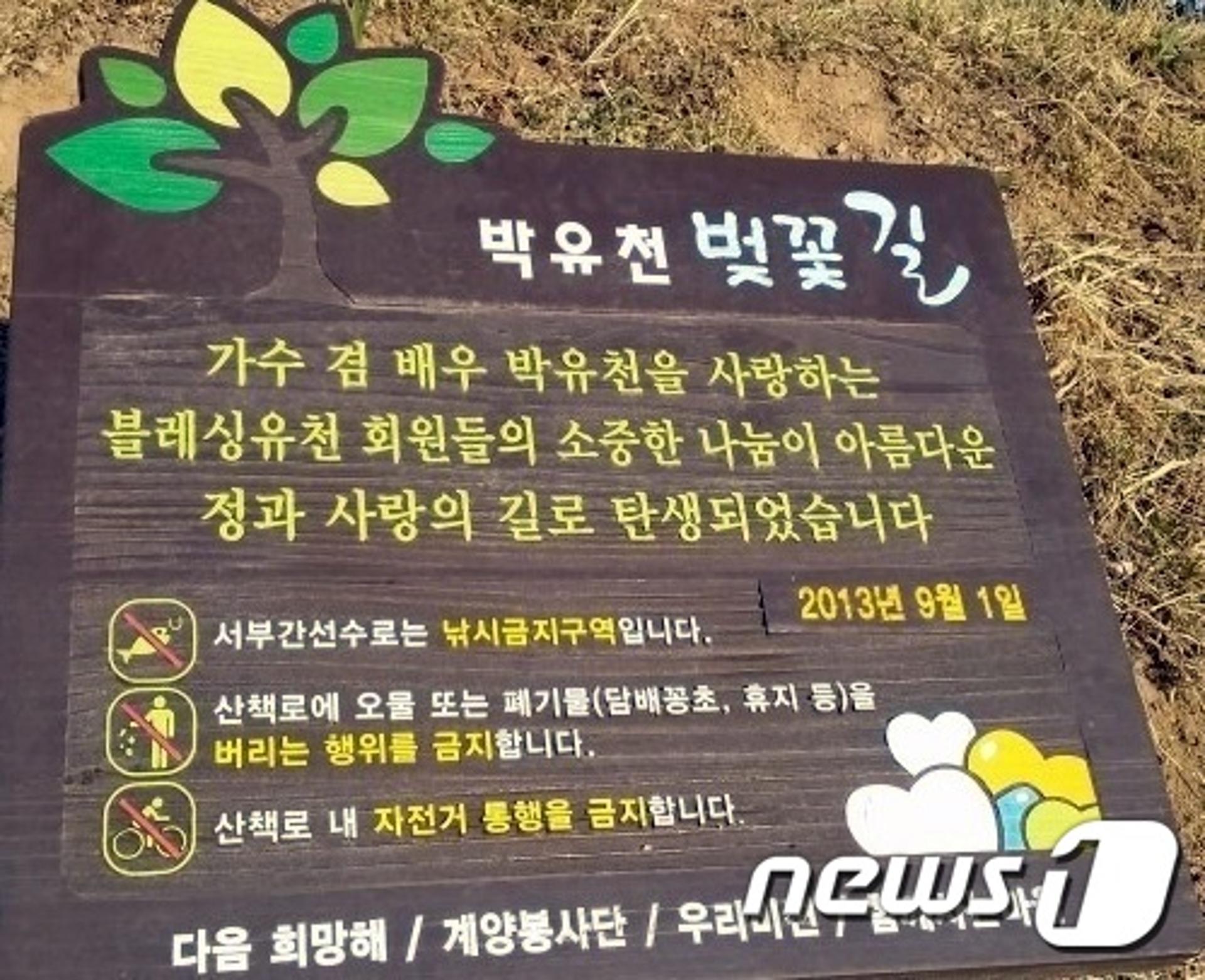 '박유천 벚꽃길' 철거… 흔적 지우기 나섰다