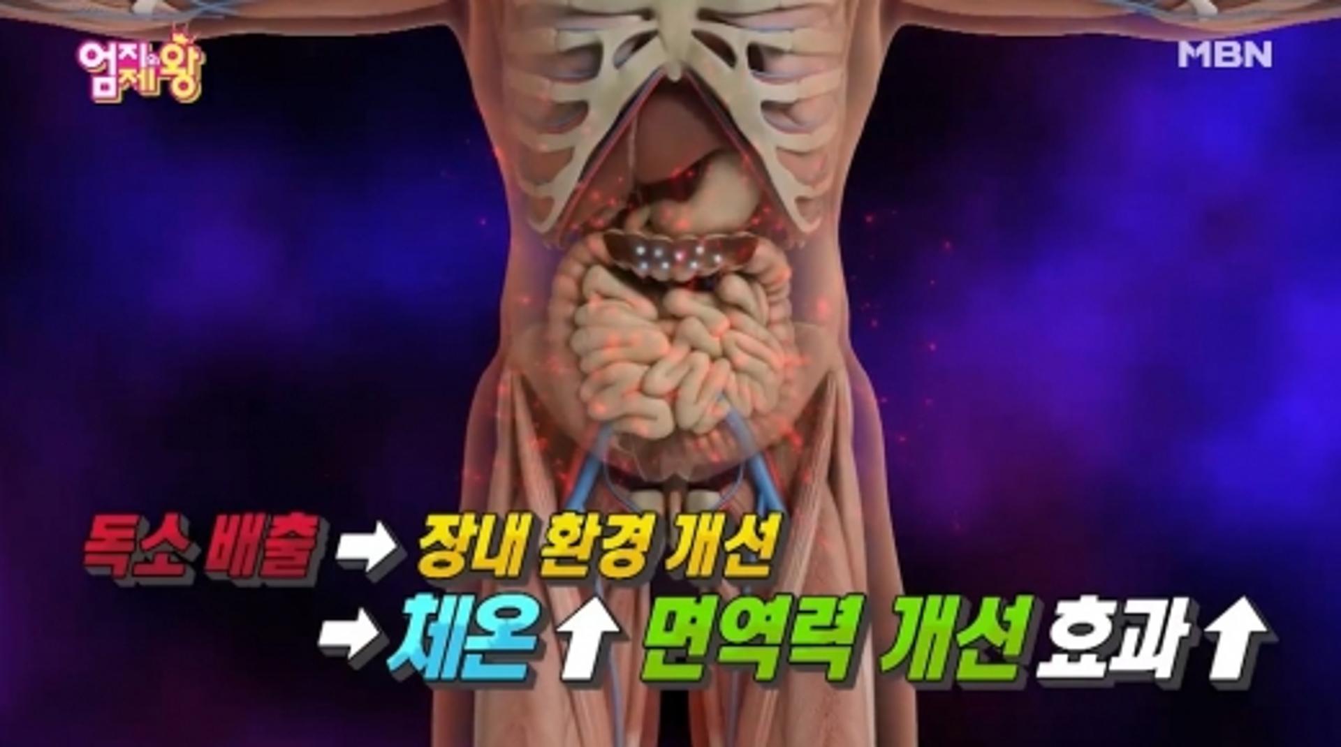 프리바이오틱스, 프로바이오틱스와 다르다?