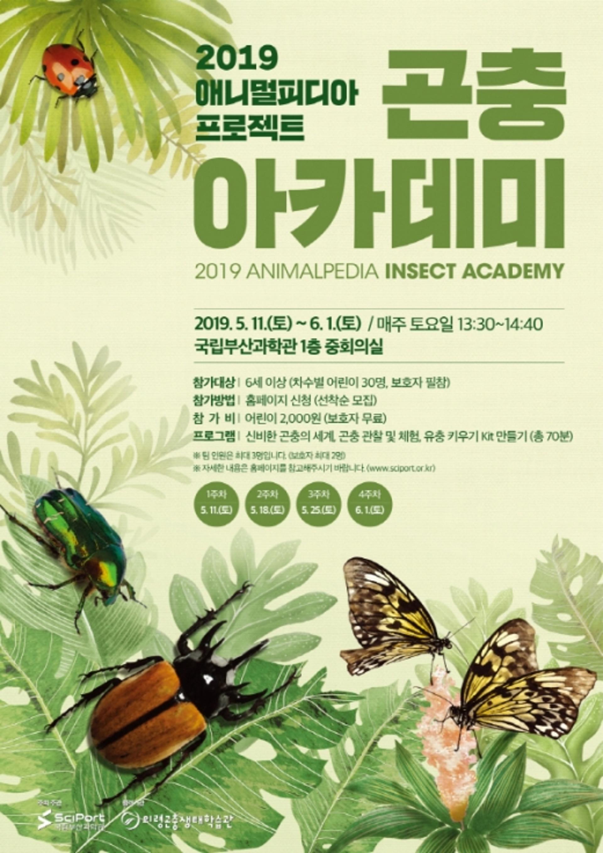 국립부산과학관, 신비한 곤충의 세계 '곤충 아카데미' 개최