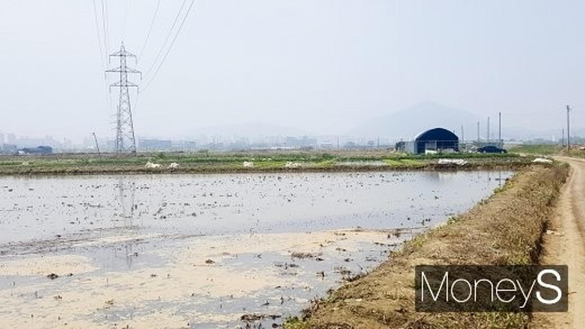[르포] 부천 대장, 변두리 논바닥이 ‘금싸라기’ 될까