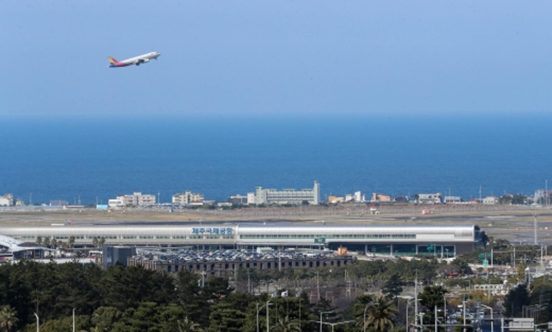 제주공항 비상… 중국인 관광객, 아프리카 돼지열병 소시지 반입 적발