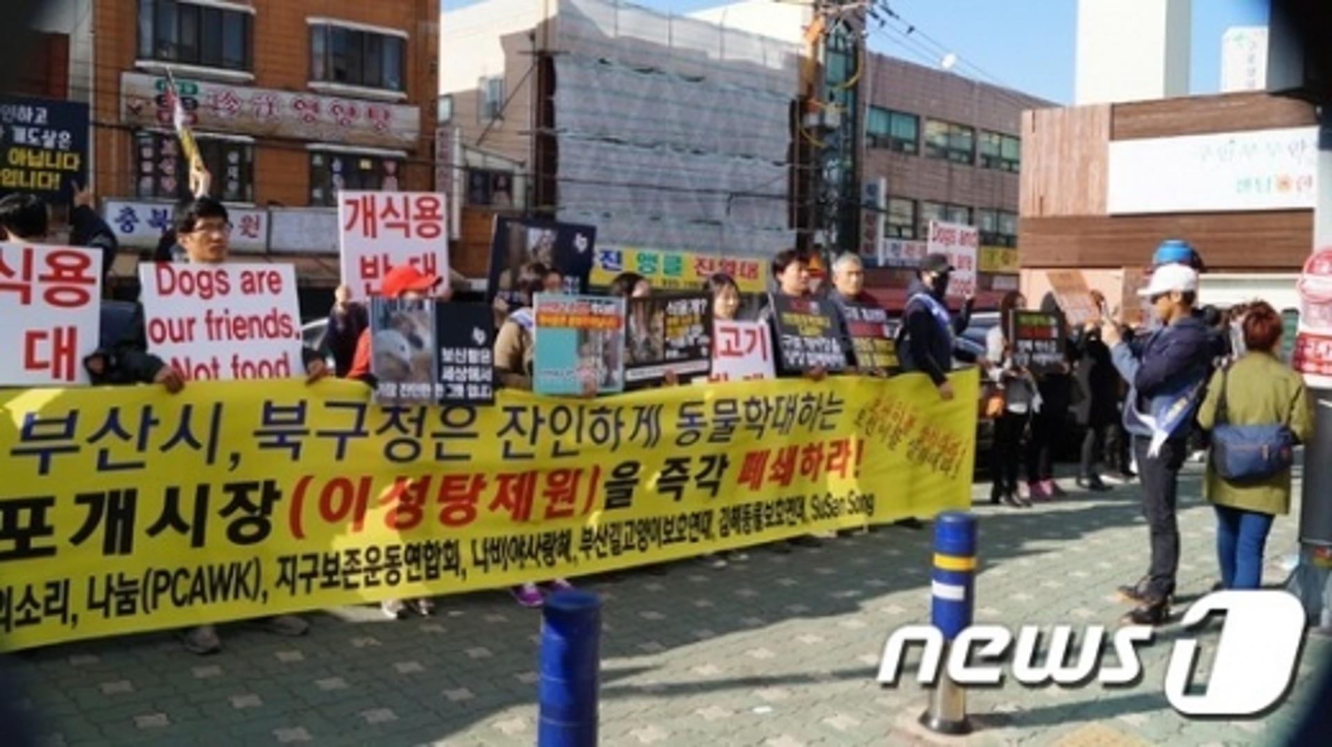 부산 구포 '개시장', 초복 전에 문 닫을까… 종업원 반발 거세