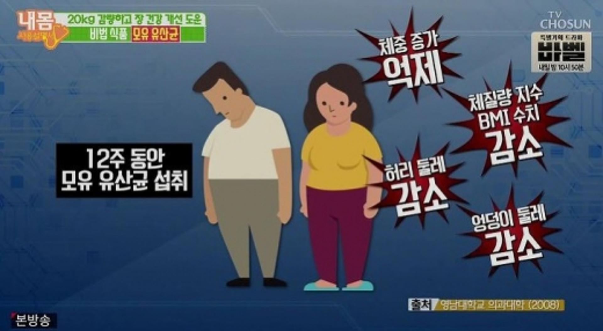 모유유산균, 20kg 감량 가능해?… "단 '이것' 주의"