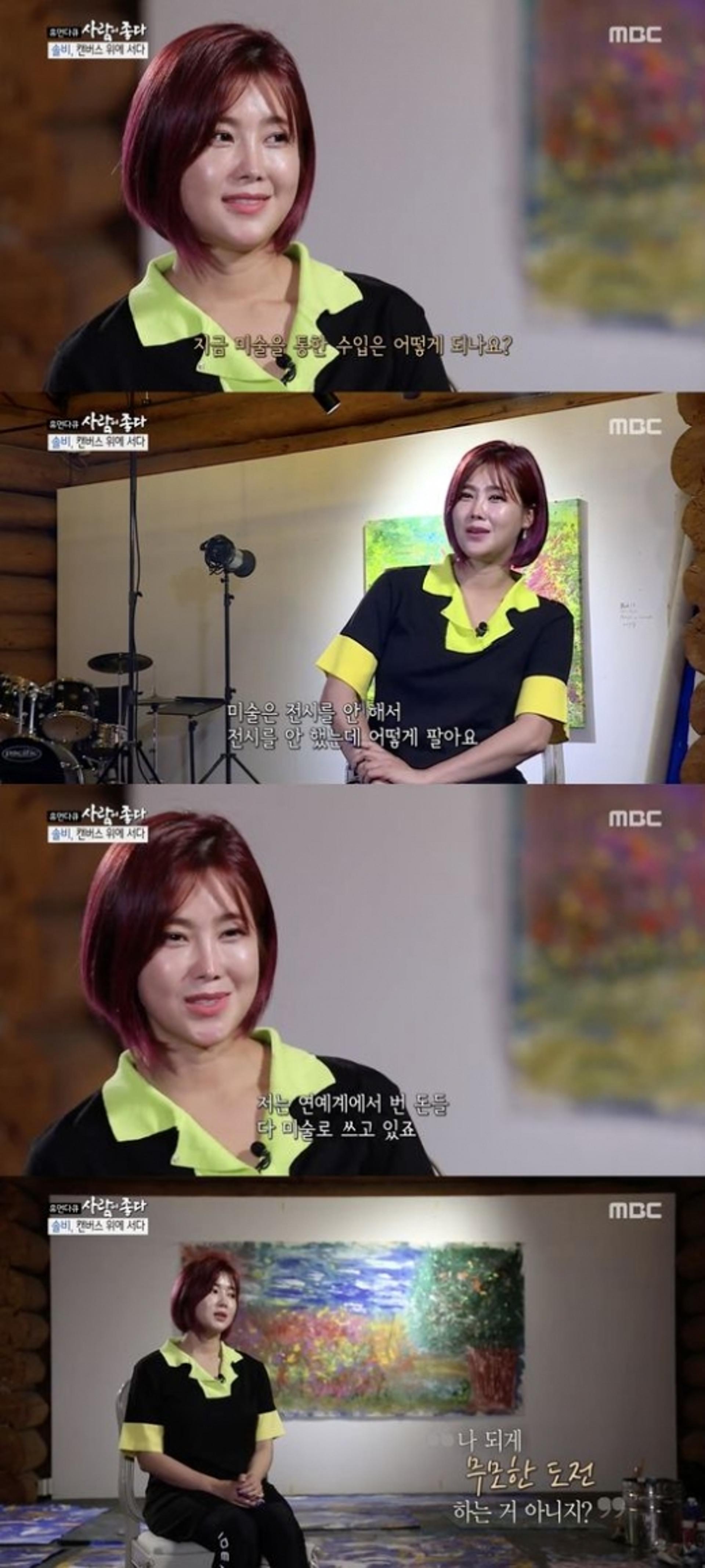 솔비 수입 '주목'… "전시 안해서 돈 없다?"