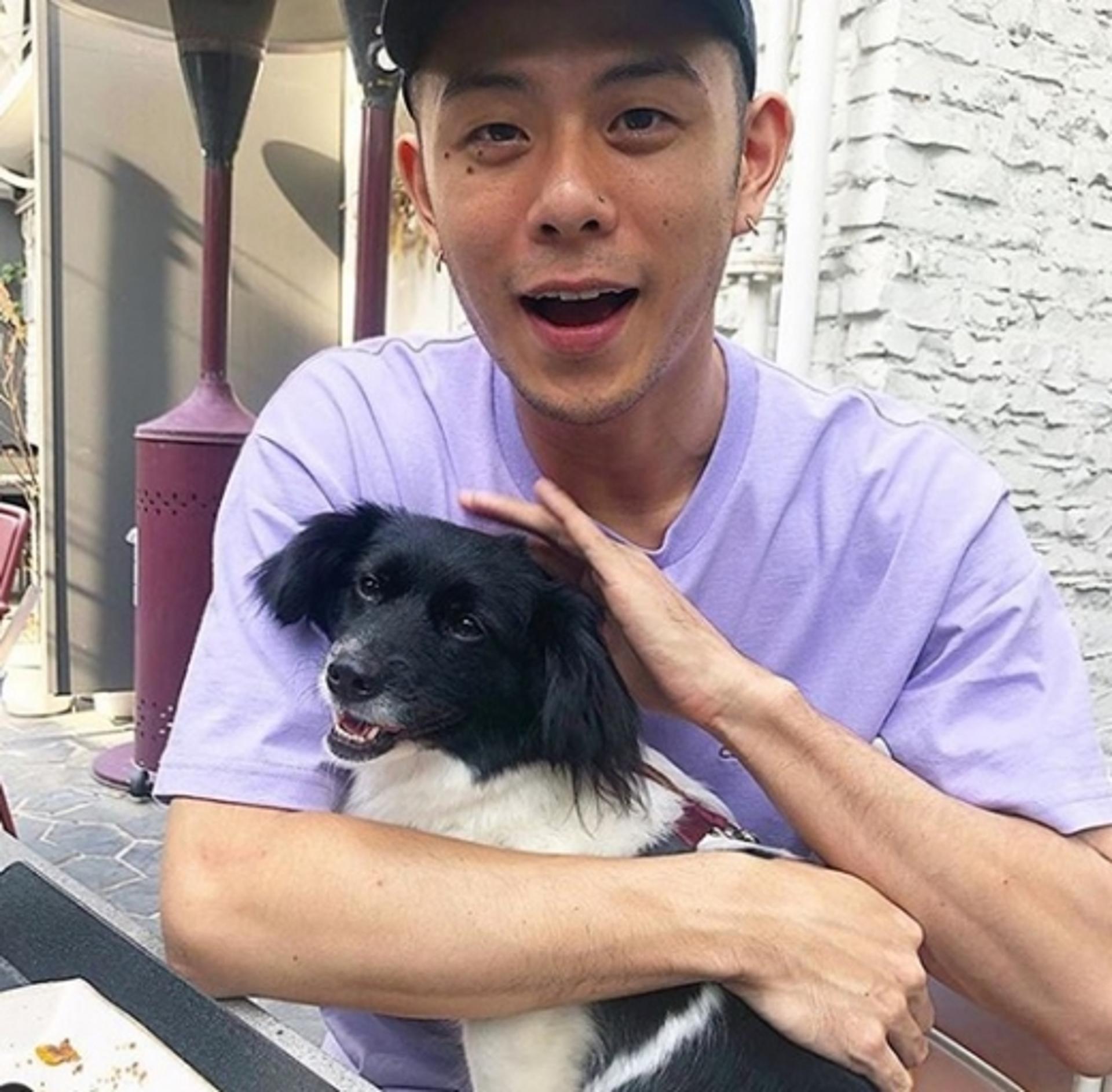 빈지노 유기견 입양, "조금씩 가까워지는 중"