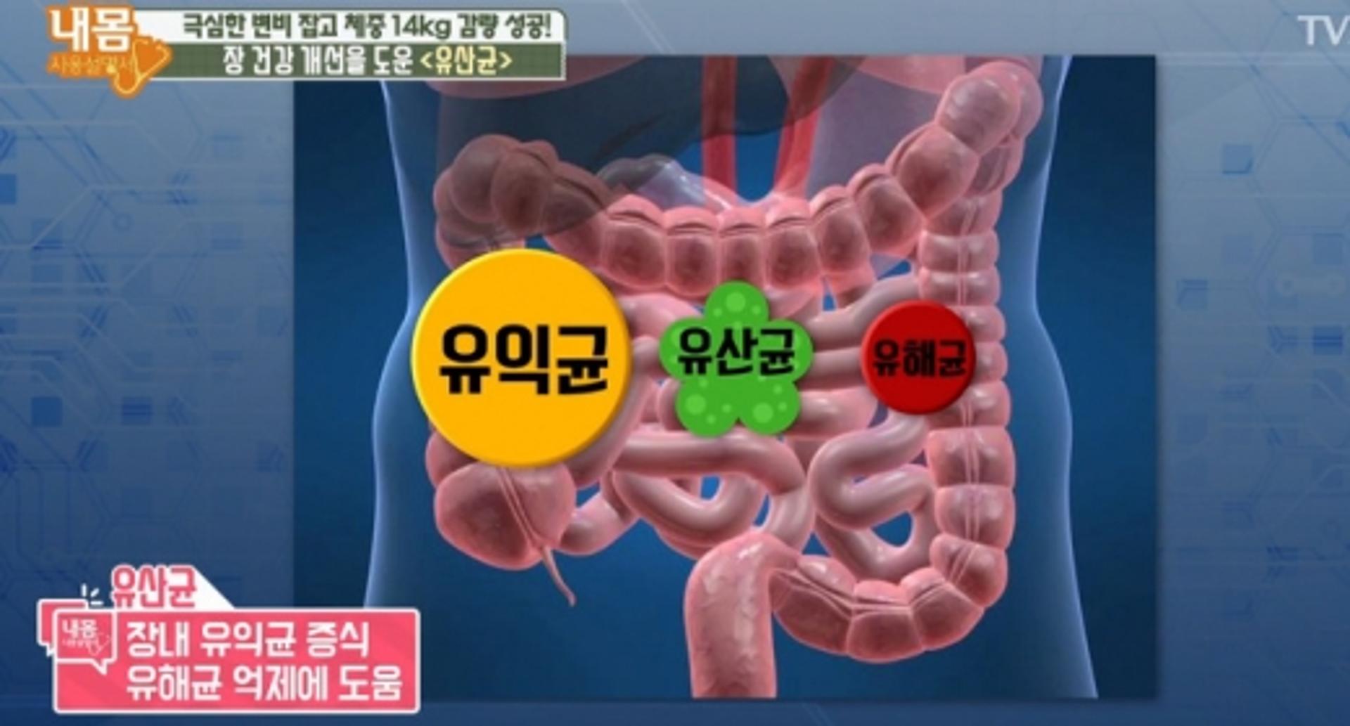 '프롤린유산균' 이상적인 복용 방법은?