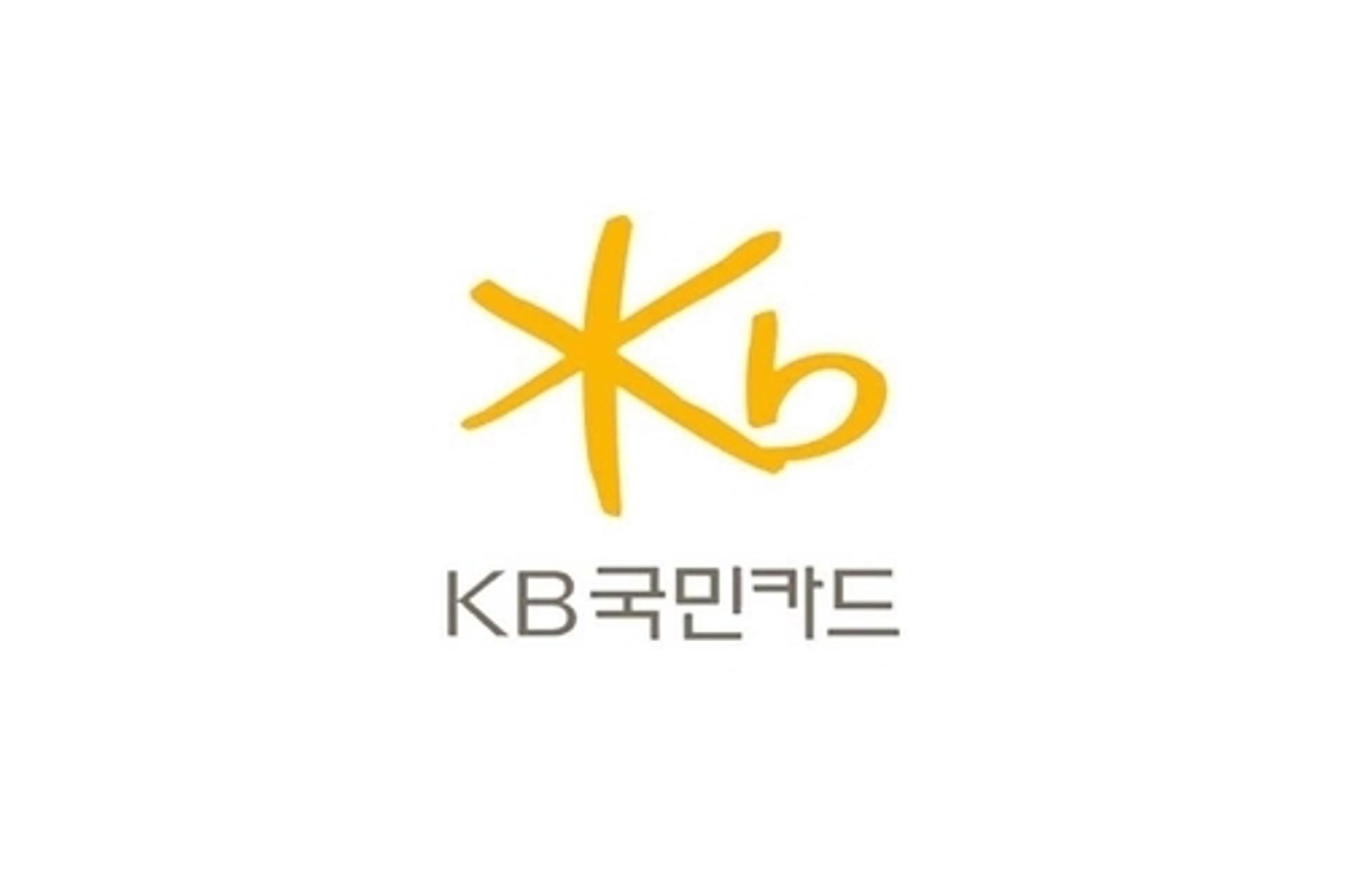 KB국민카드, '빈(BIN)공격'에 고객 2000여명 카드번호 노출