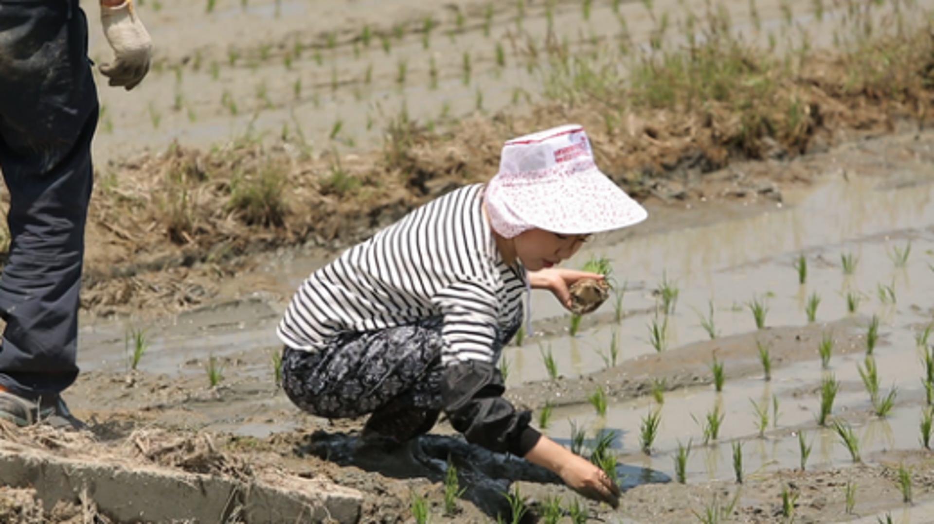 송가인 몸빼바지도 '완벽'… 트롯퀸의 변신은 무죄