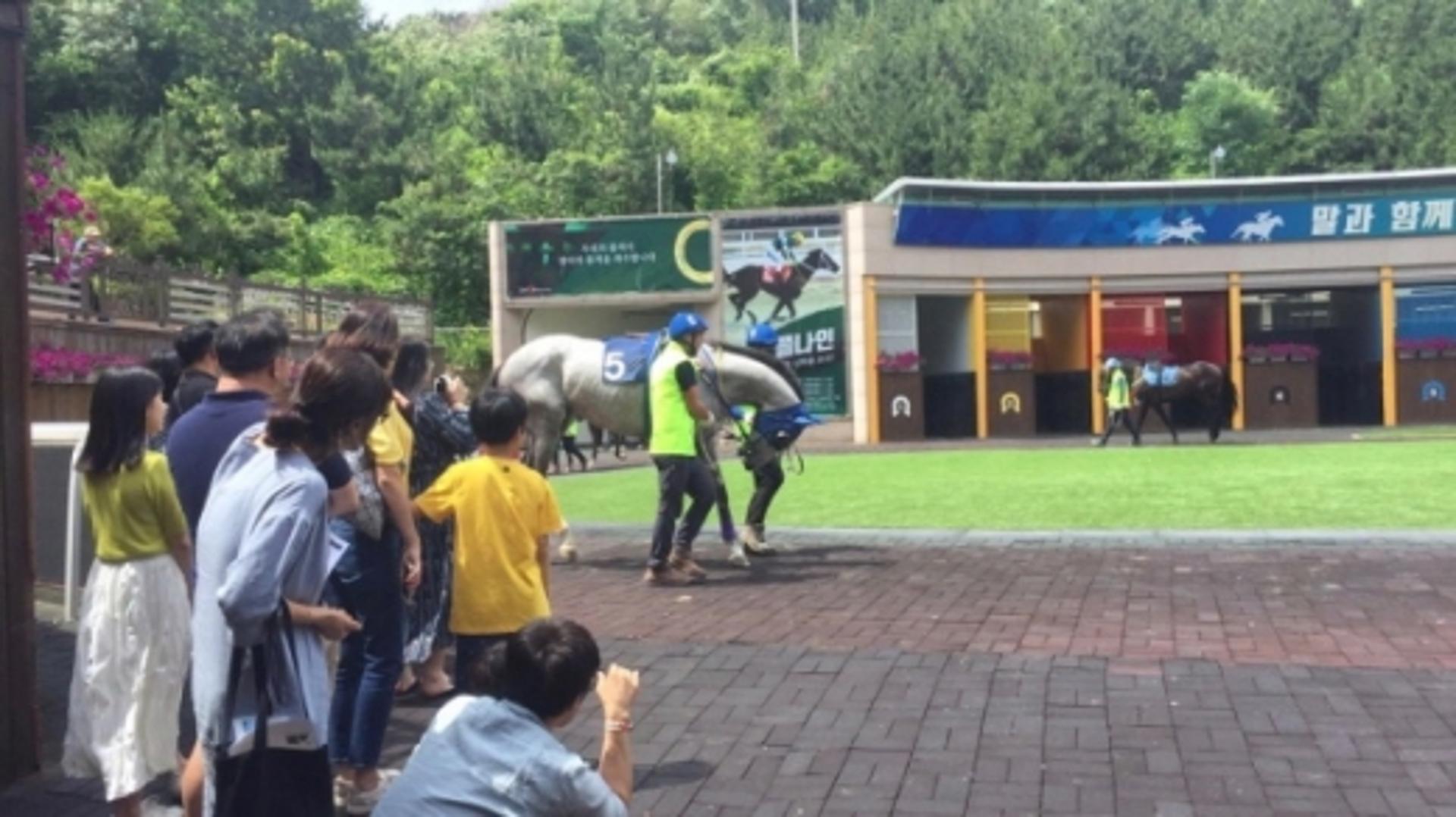 렛츠런파크 부산경남에서 생생한 경마진행 현장을 즐긴다