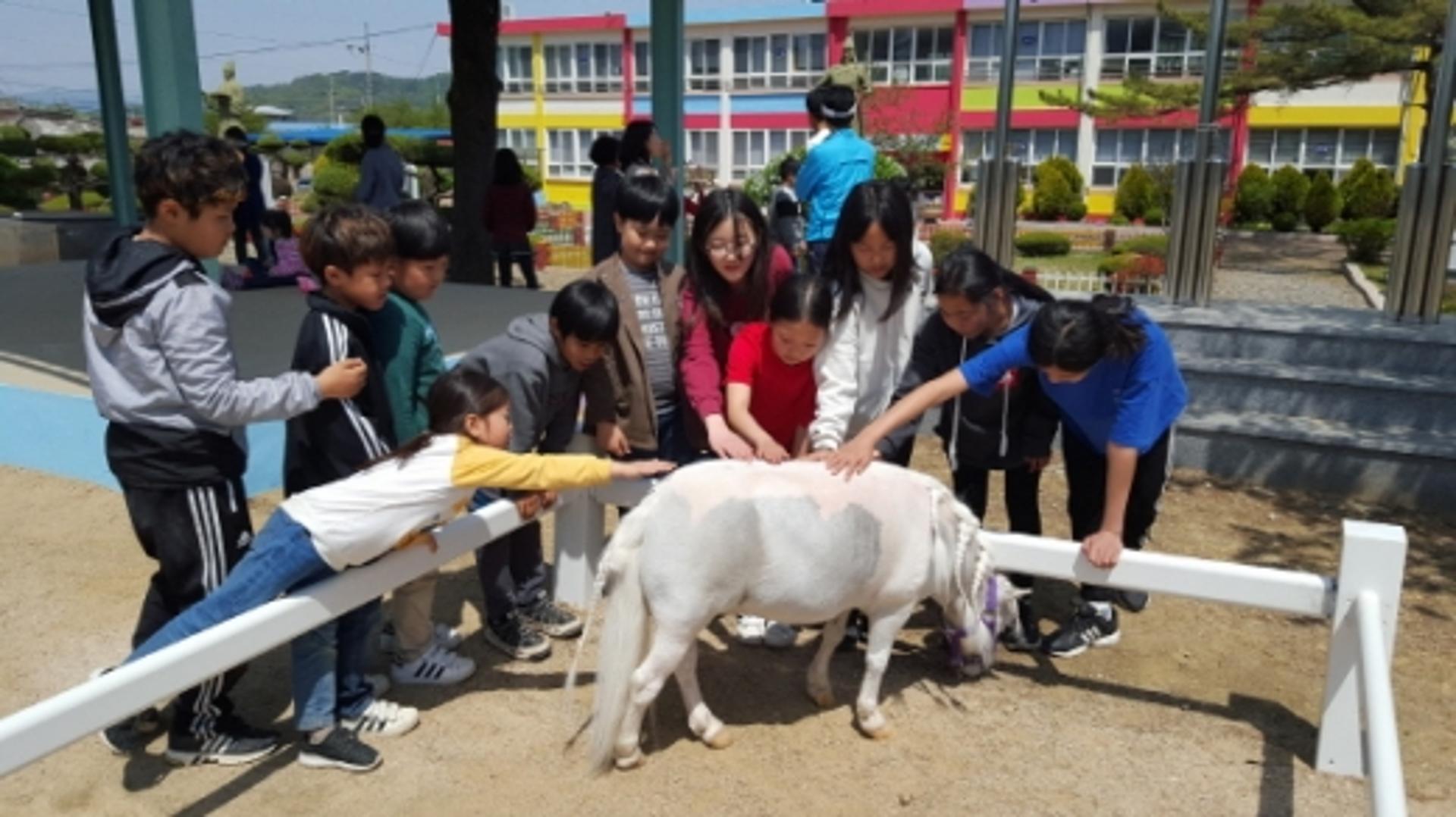 렛츠런파크 부산경남, 구석구석 찾아가는 승마교실로 사회공헌