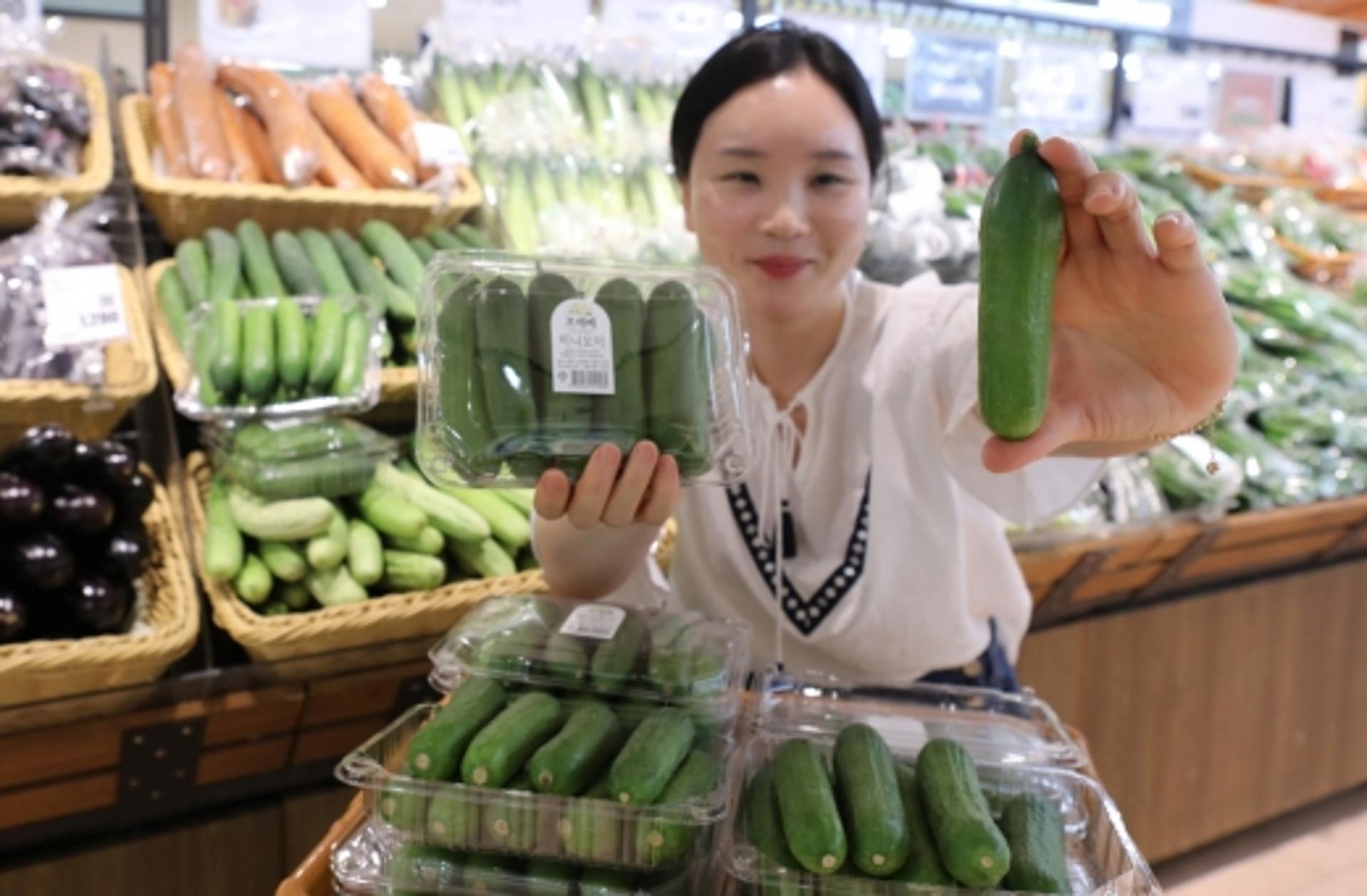 롯데마트 상무점"작아서 더 맛있는 미니오이 납시오"