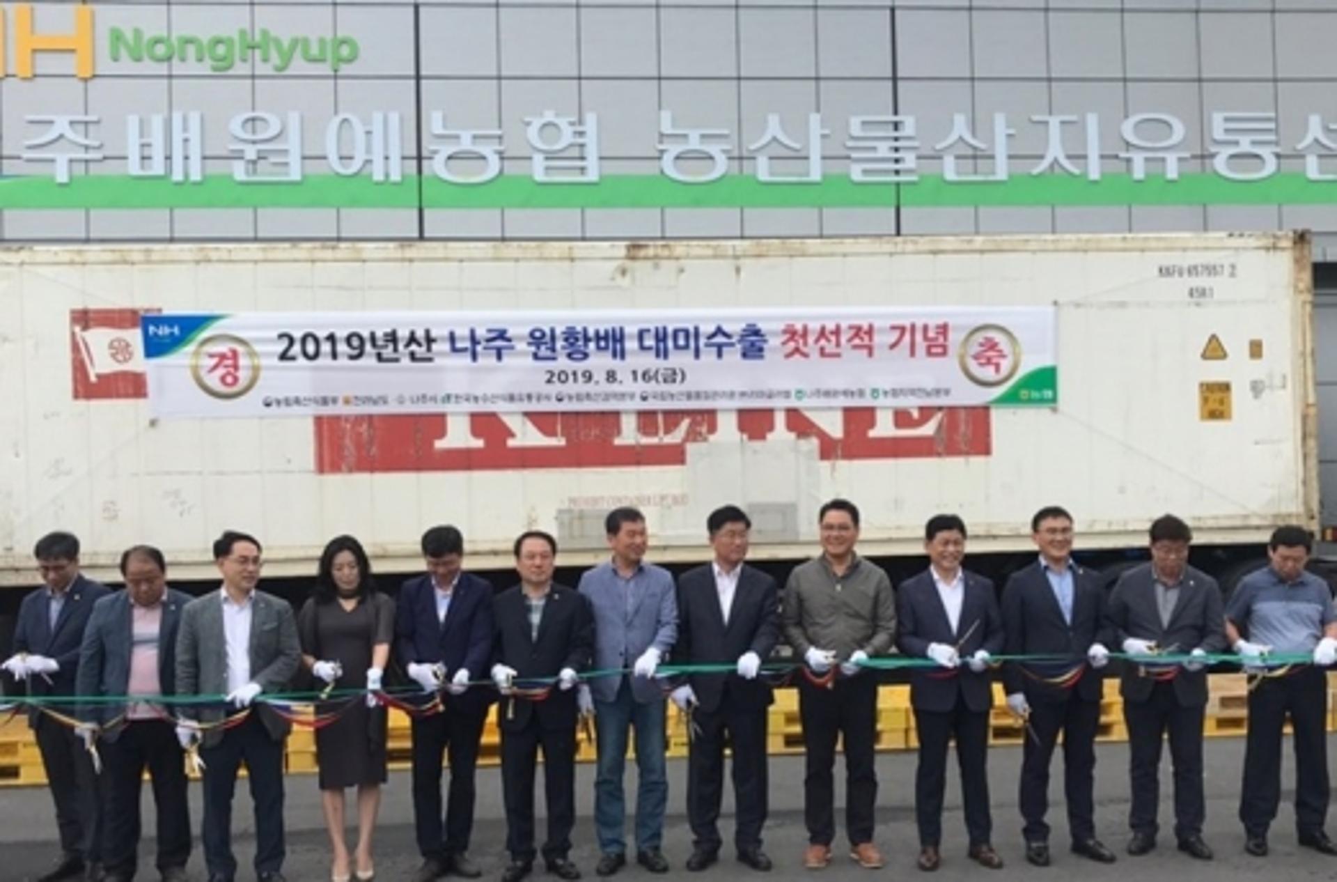 나주 배, 미국 첫 수출… 농가소득 증대 기대