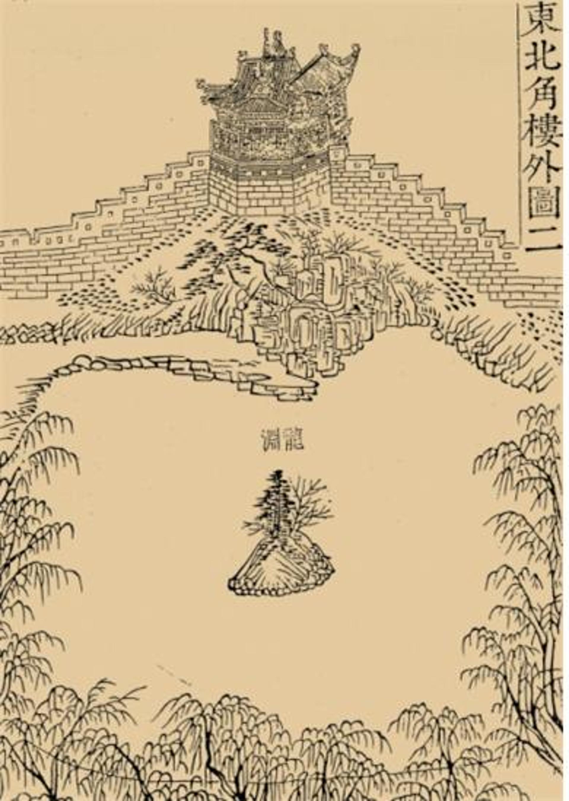 수원시 '역사 수목(歷史樹木)' 버드나무 3000주 증식