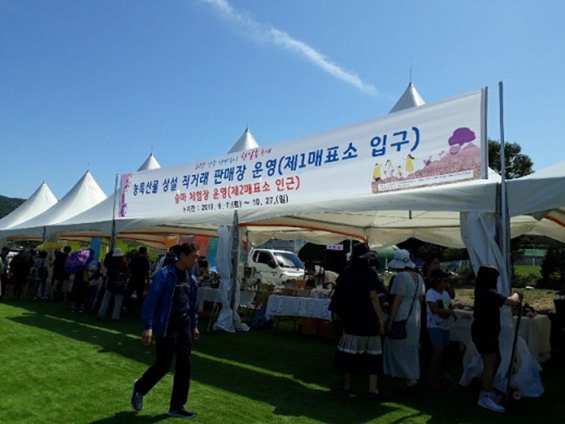 양주 천만송이 천일홍 축제장 내 ‘농특산물 상설 직거래 판매장’ 인기몰이